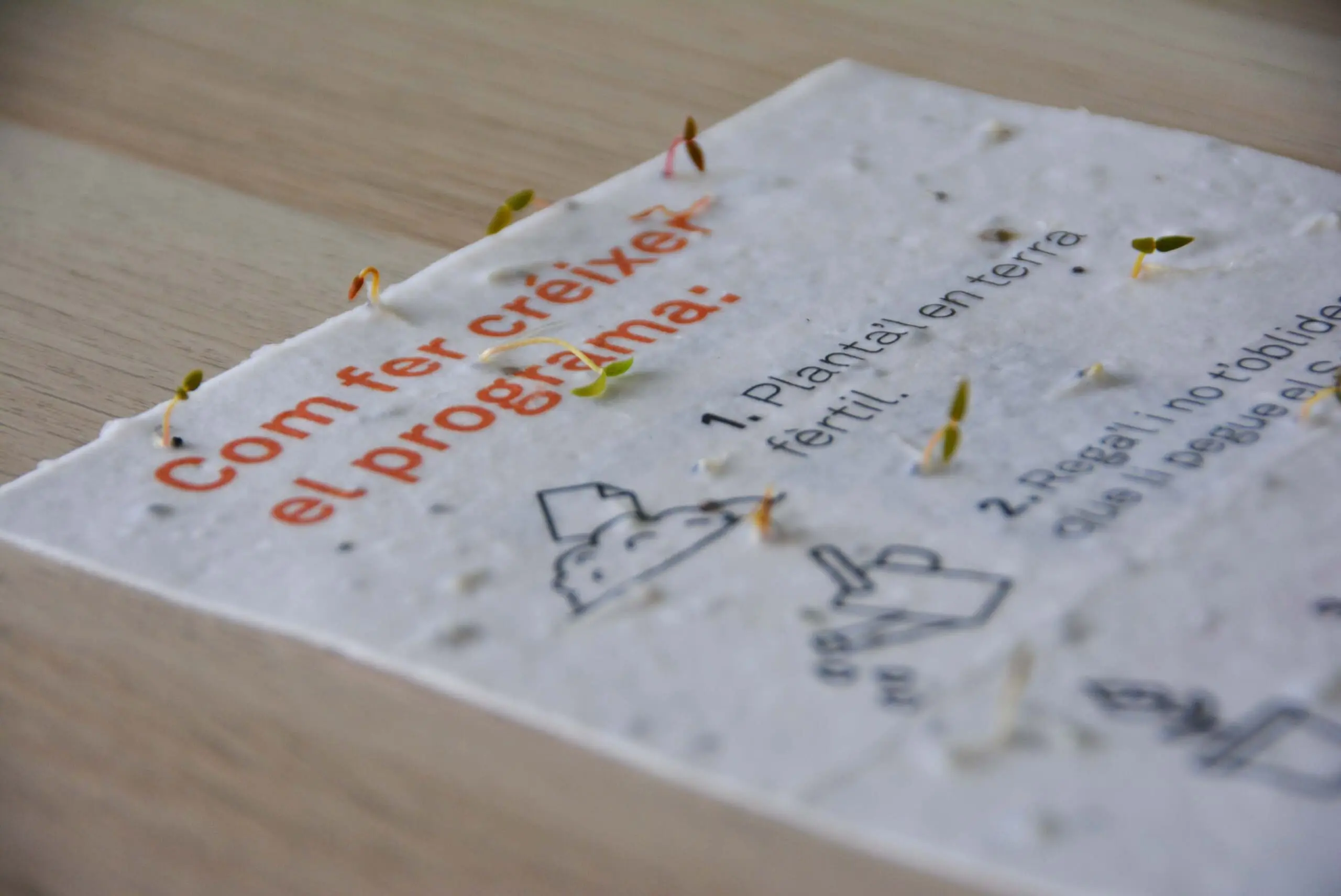 Cómo plantar el papel de semillas plantable en solo 6 pasos