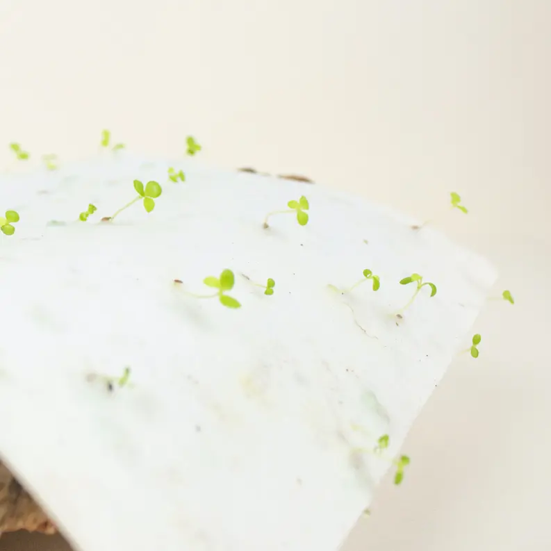 tarjeta de visita papel con semillas oficina