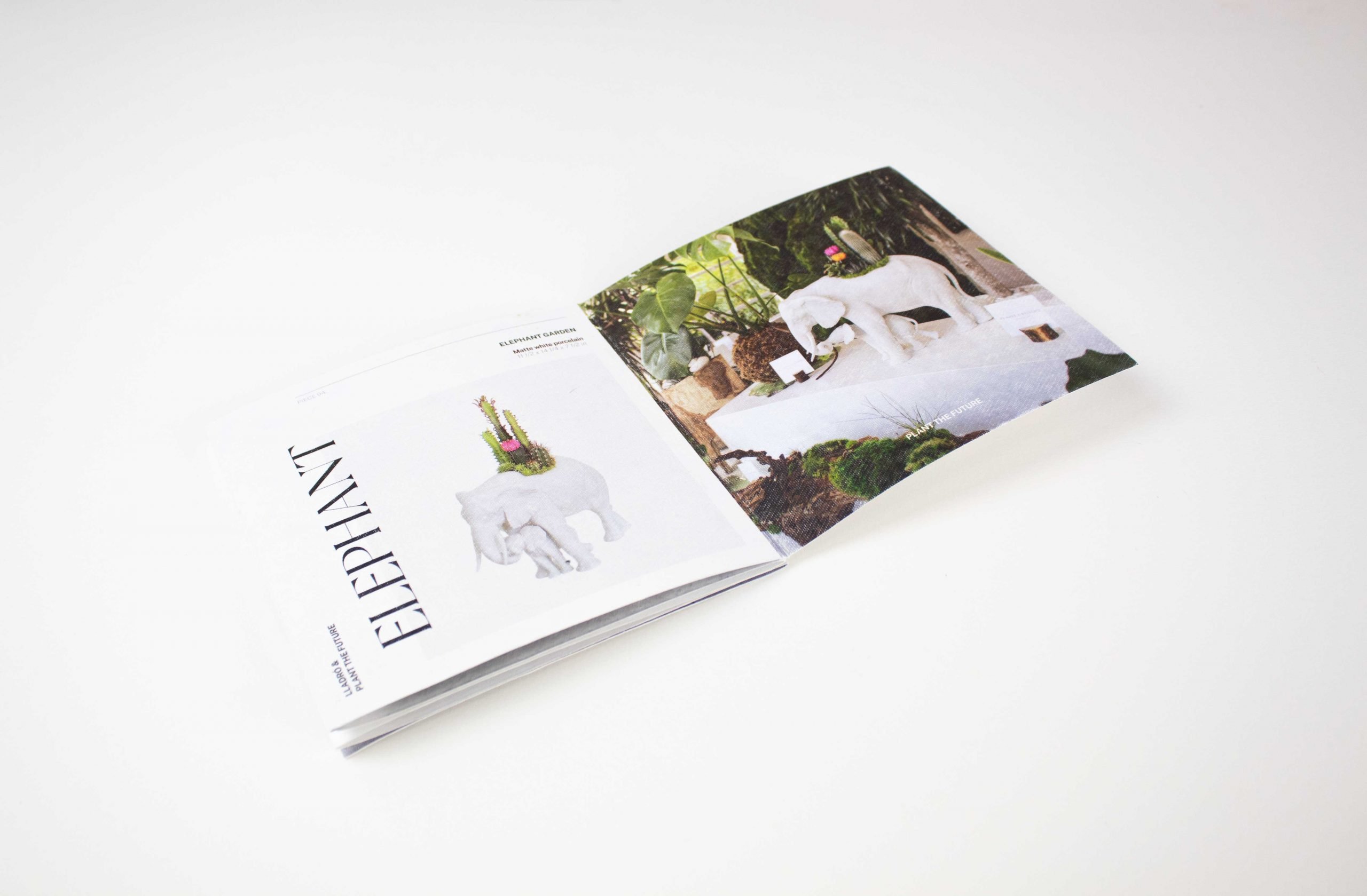 Folleto con semillas Lladro