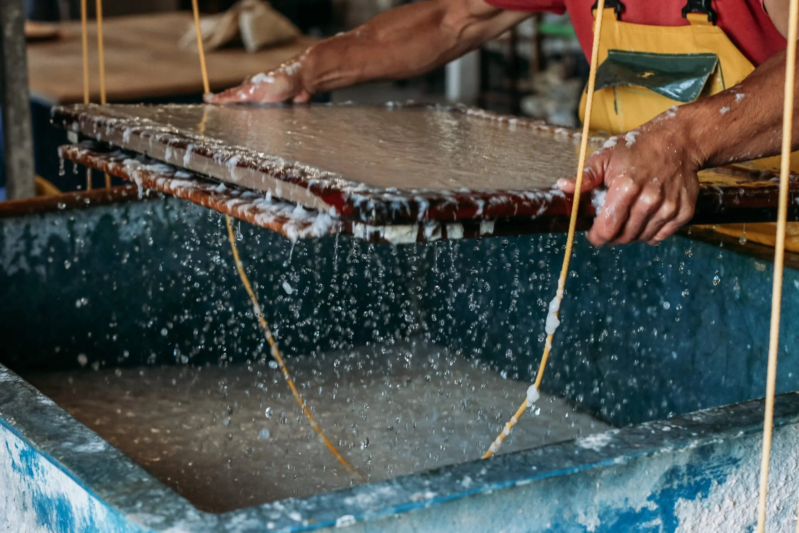 papel-con-semillas_2-scaled papel con semillas Sheedo Studio