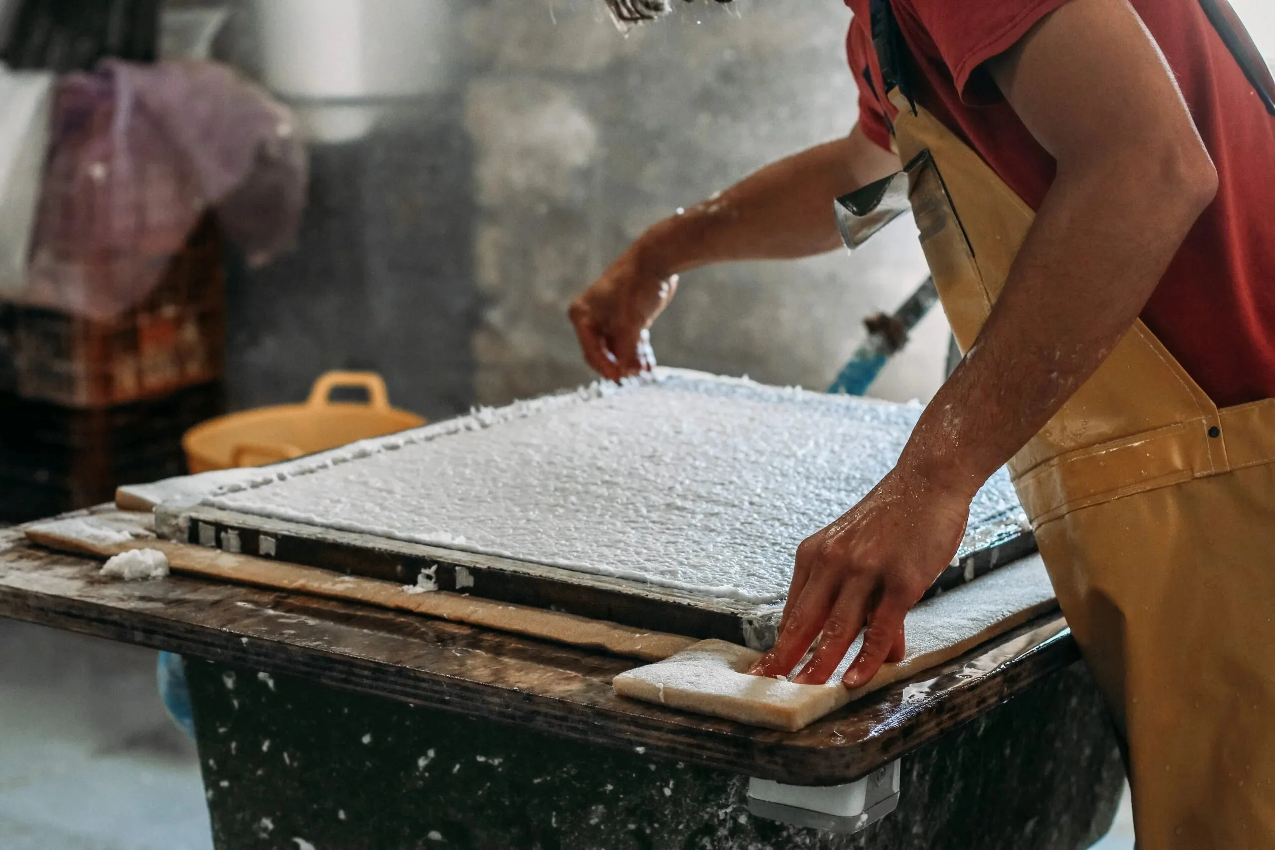 papel-con-semillas_3-scaled papel con semillas Sheedo Studio