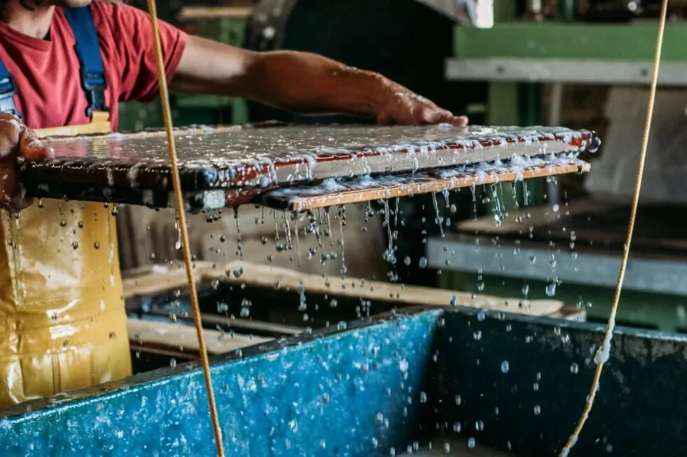 ¿Qué es y cómo se hace el papel con semillas? Paso a paso del proceso artesanal