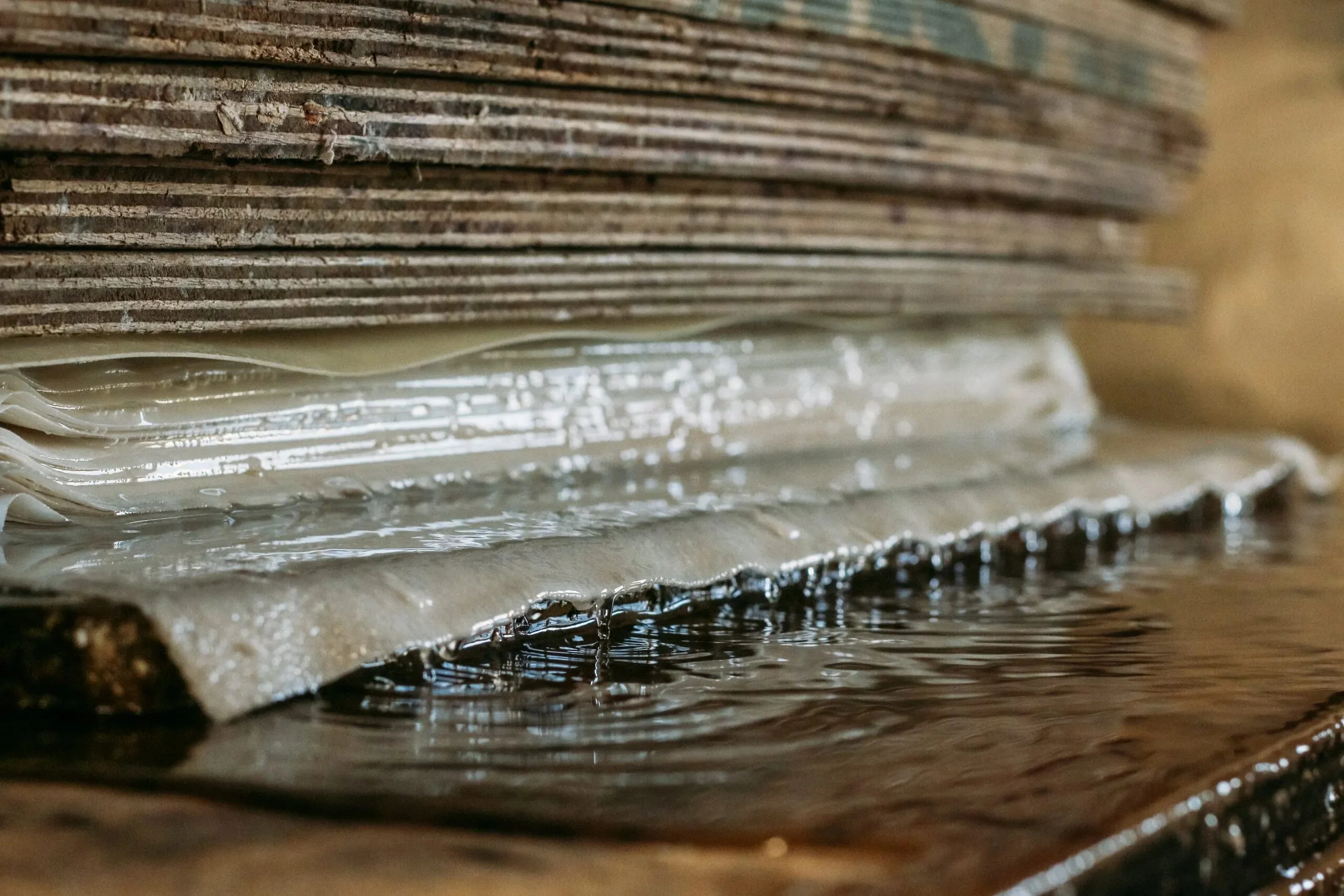 papel-con-semillas_7-scaled papel con semillas Sheedo Studio