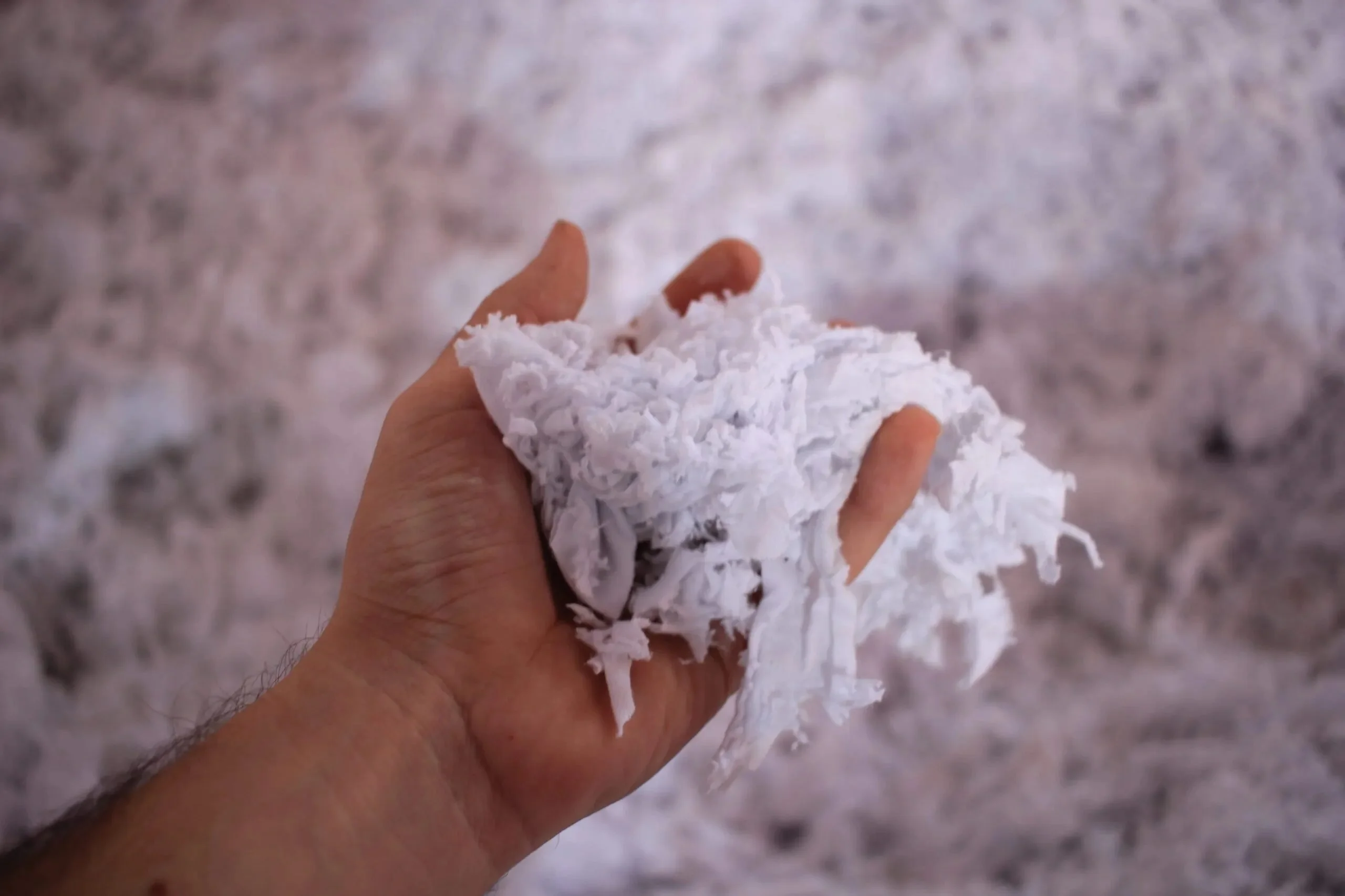 papel-con-semillas_9-scaled Algodón textil desmenuzado Sheedo Studio