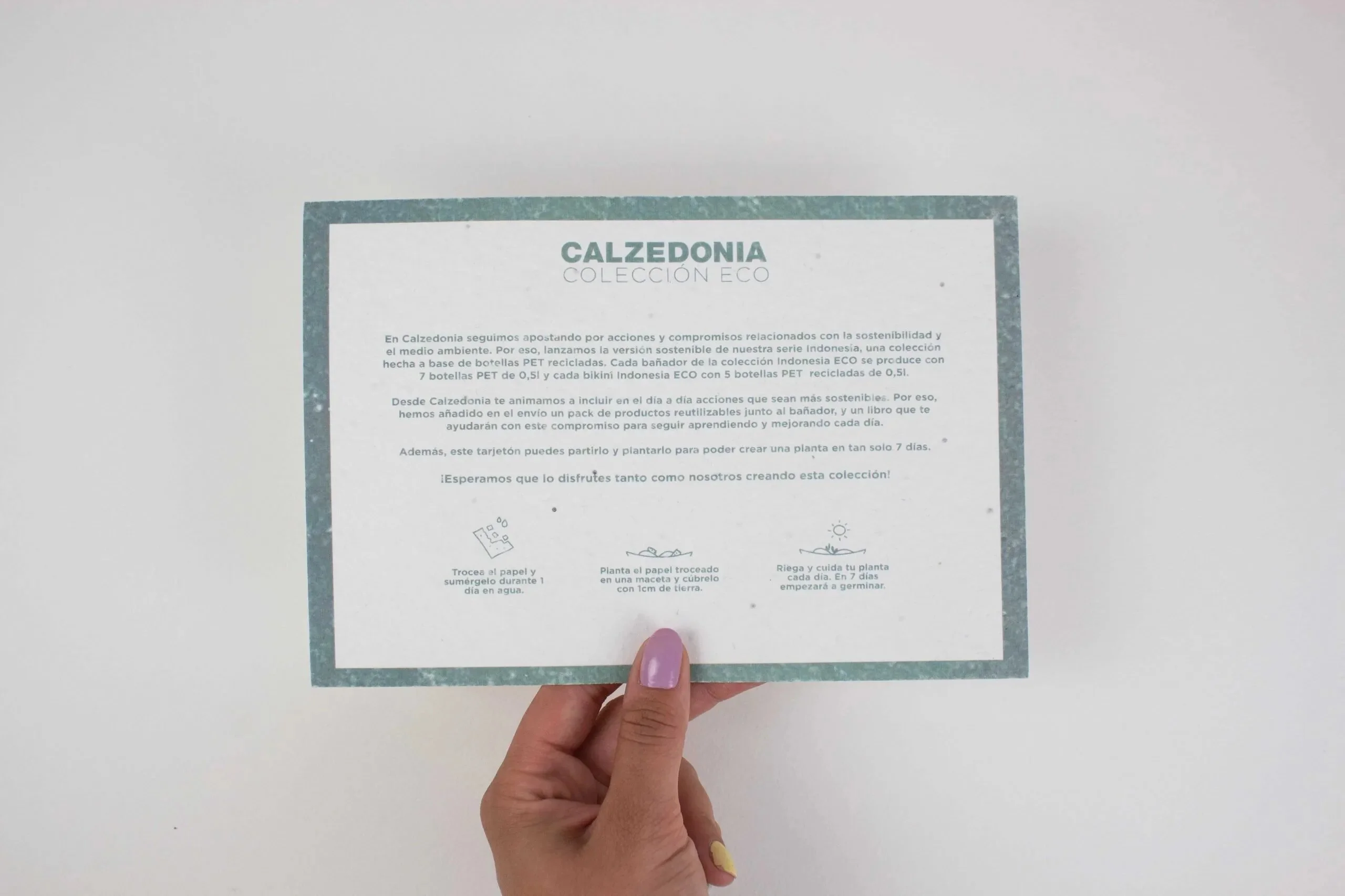 Tarjeton-plantable-Calzedonia