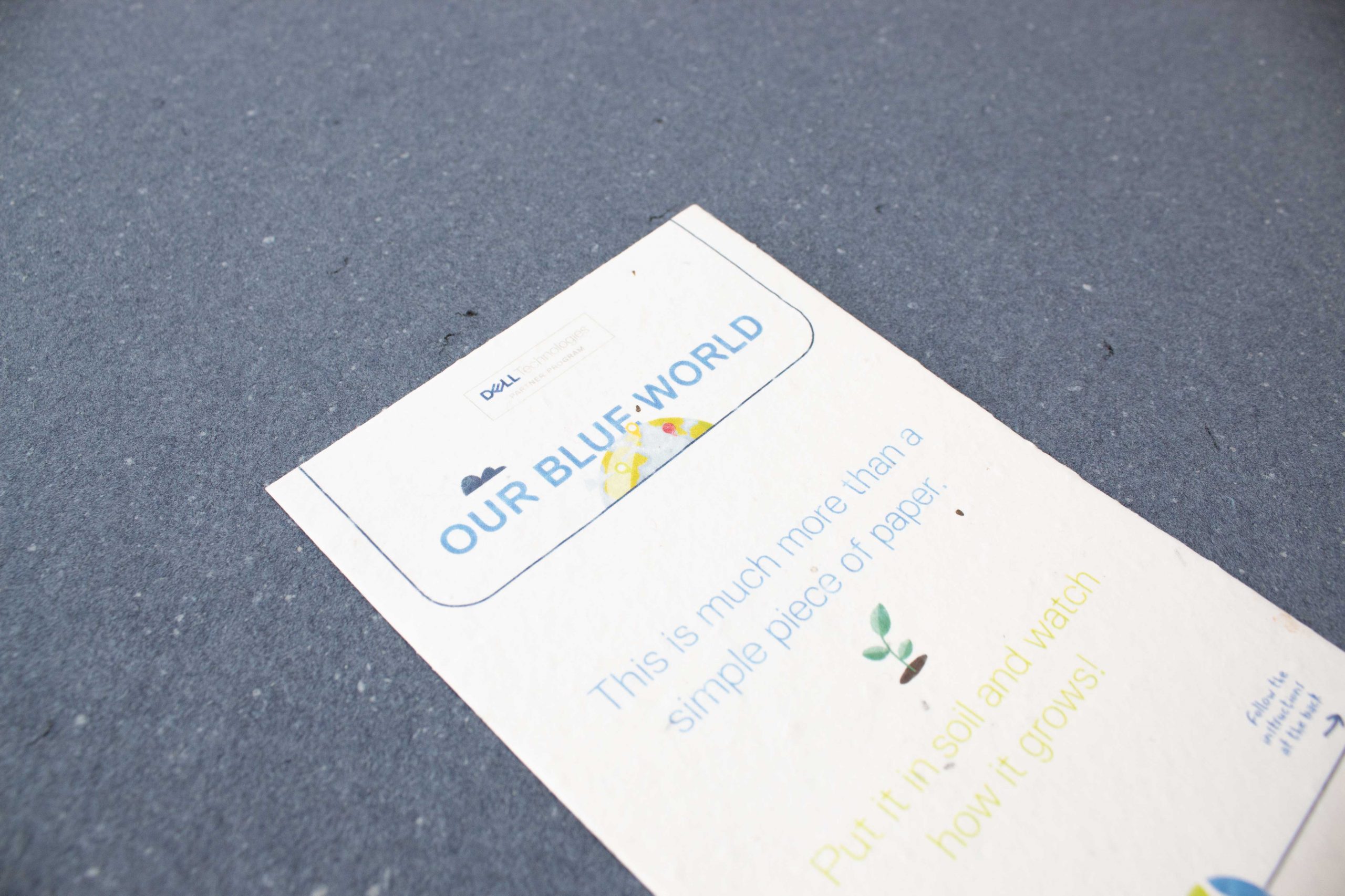 Tarjeta papel semillas para marca de ropa