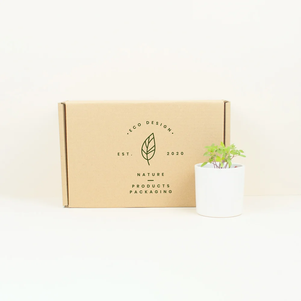 Caja de cartón grande