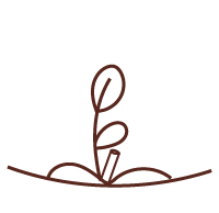 instrucciones icono boligrafo con semillas