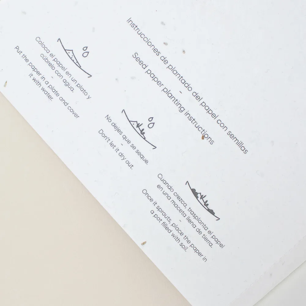 cuaderno con semillas tapa blanca