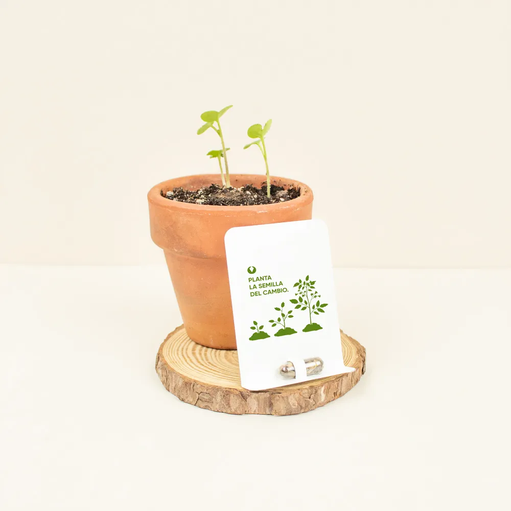 capsula semillas earth pill