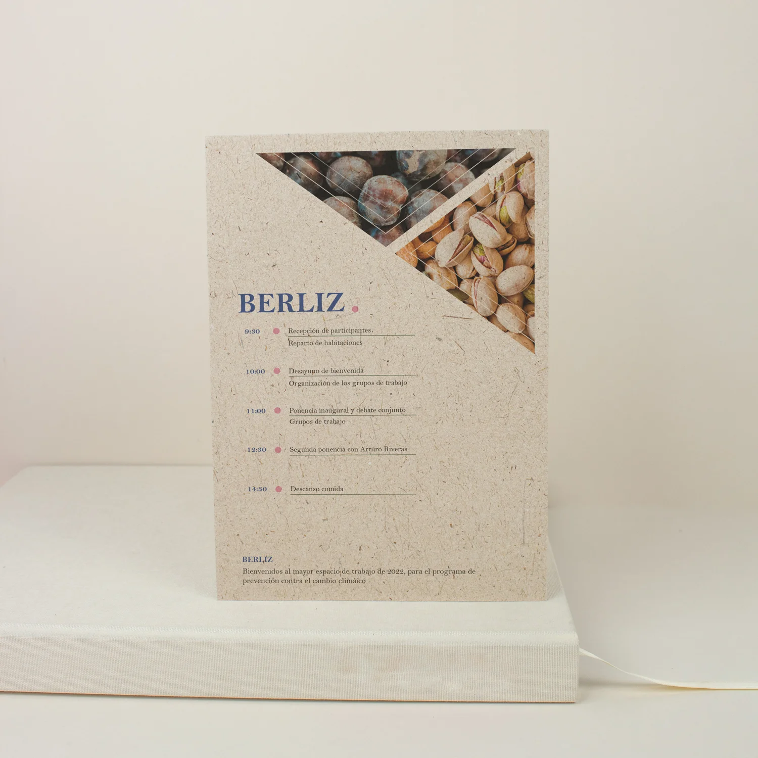 Lemon 1 cara A5 eco Lemon 1 cara A5 eco