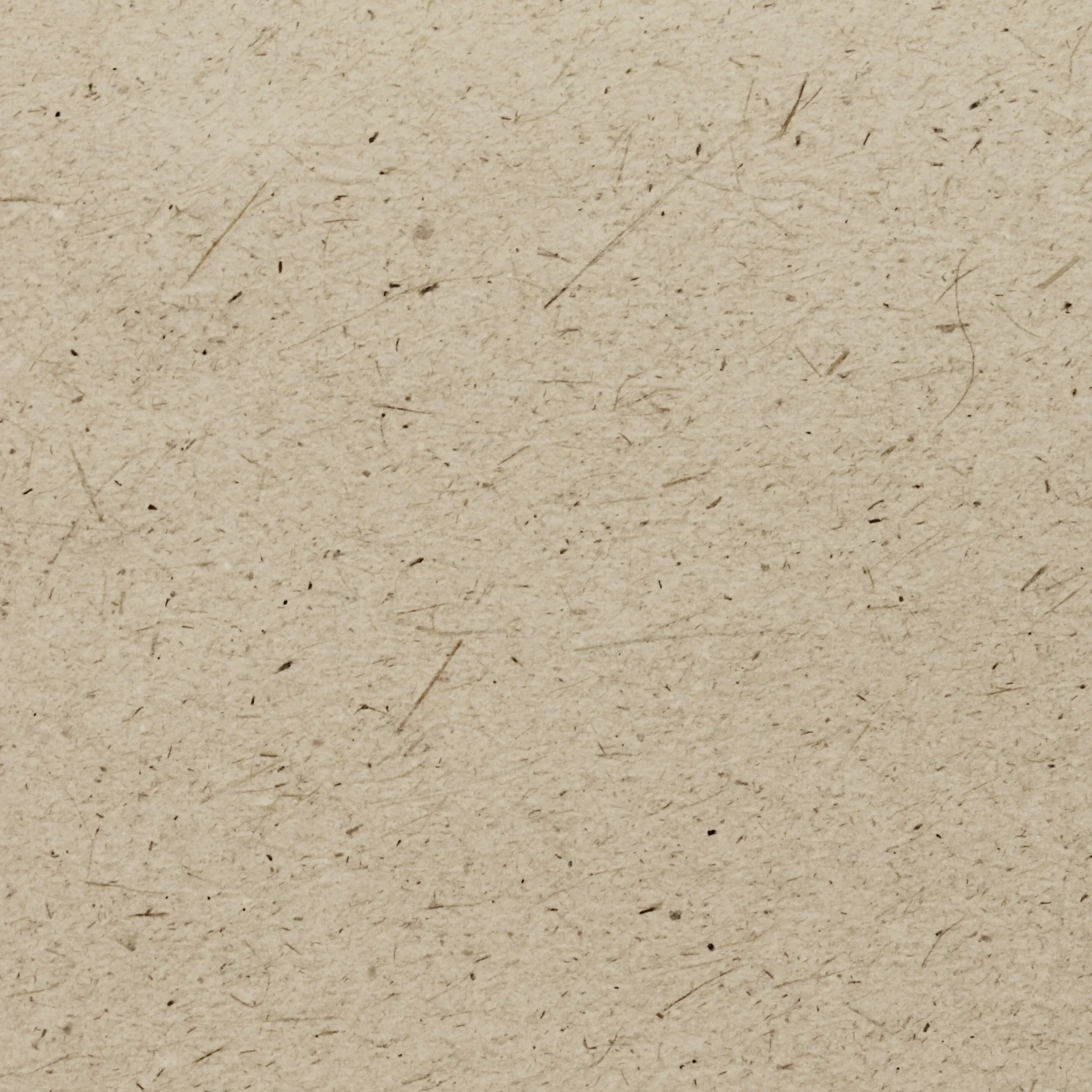 CRUDO-Lemongrass cuadrado