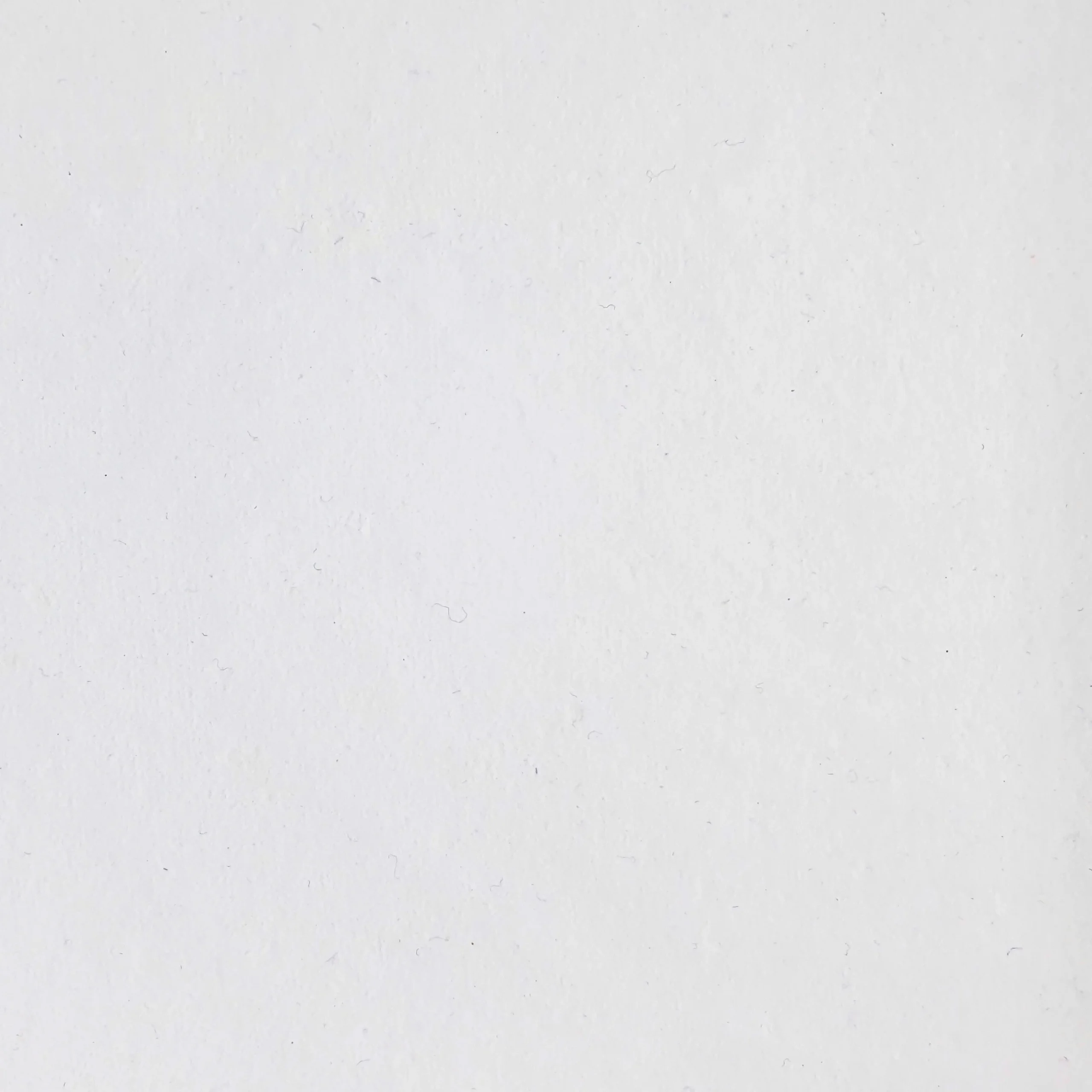 CRUDO-White-cuadrado