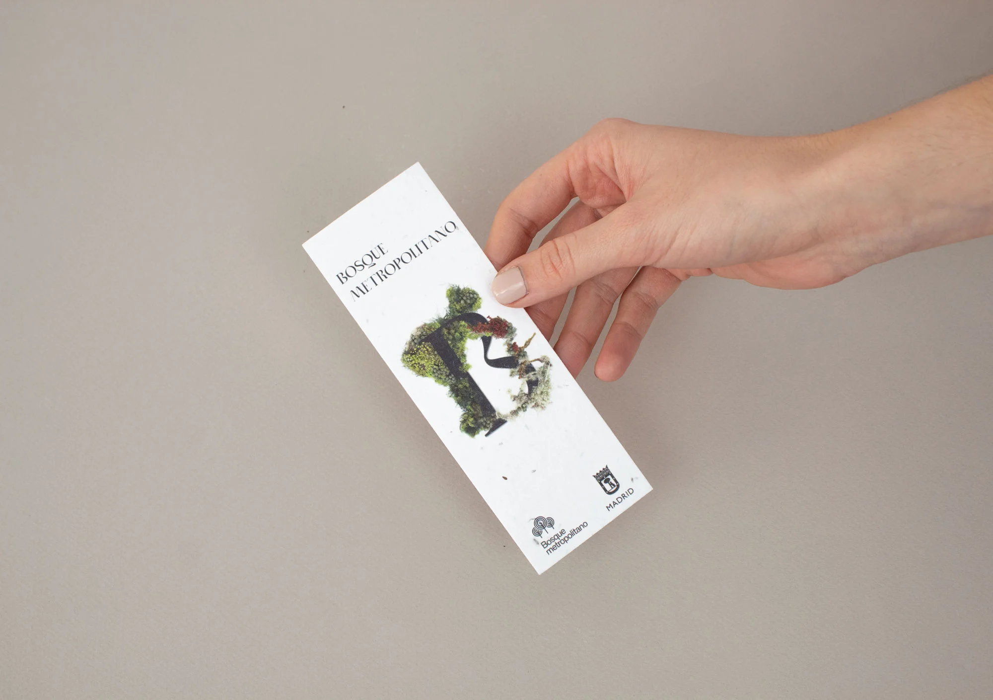 flyers de papel con semillas