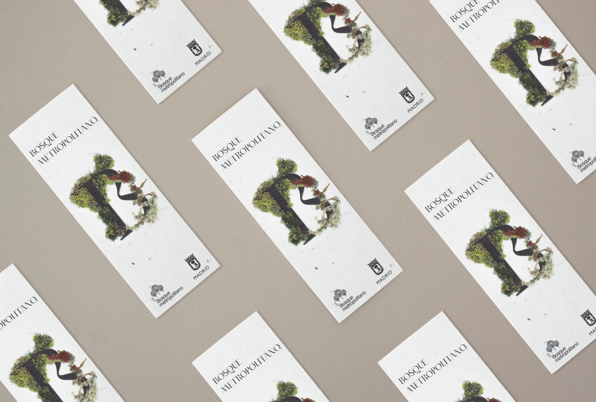 flyers de papel con semillas