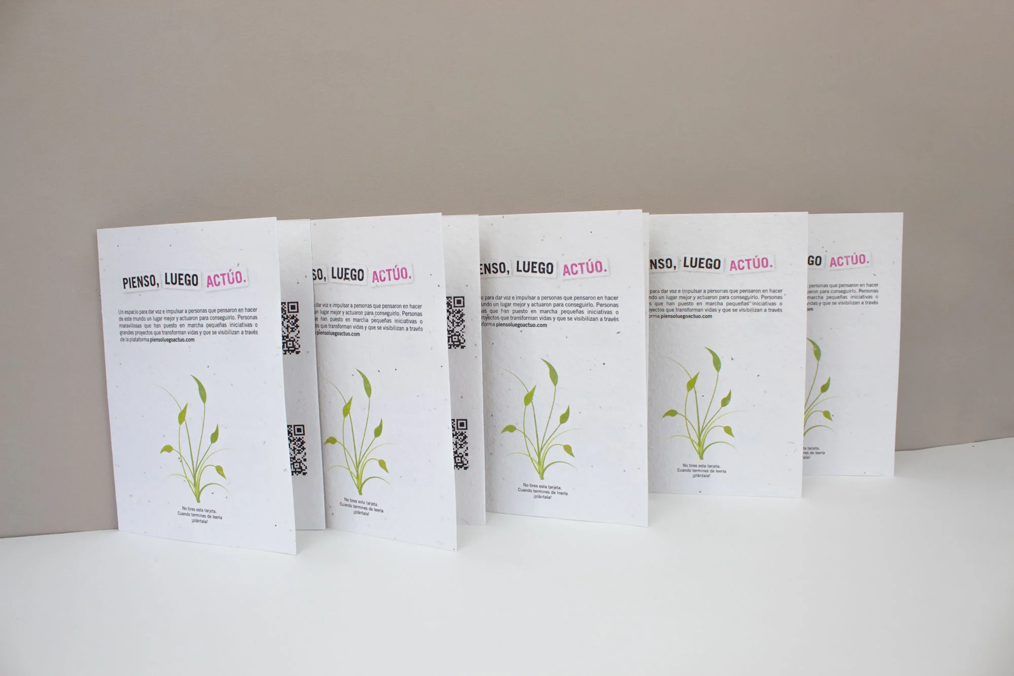 Regalo semillas Terra Mitica