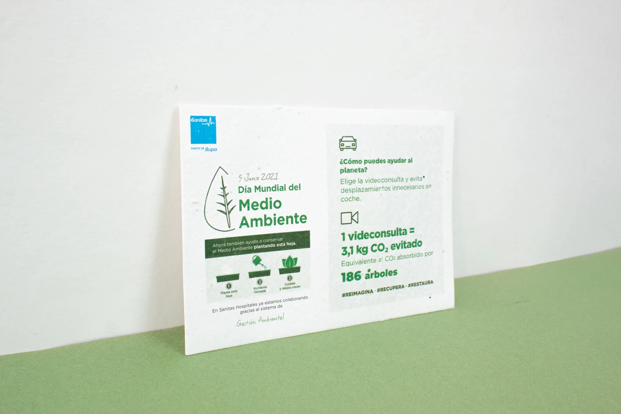 lápiz plantable SMARTBOX