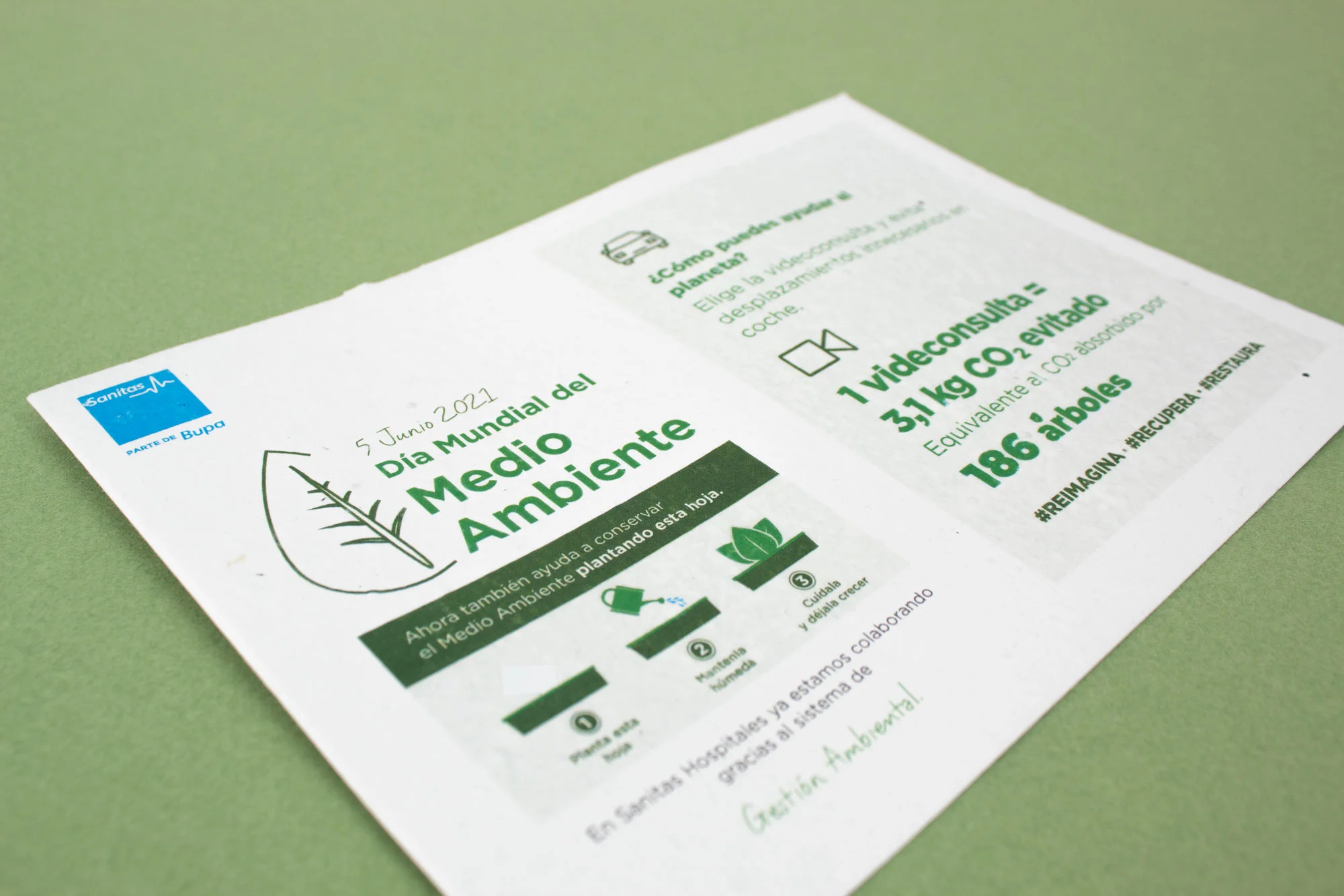 lápiz plantable SMARTBOX