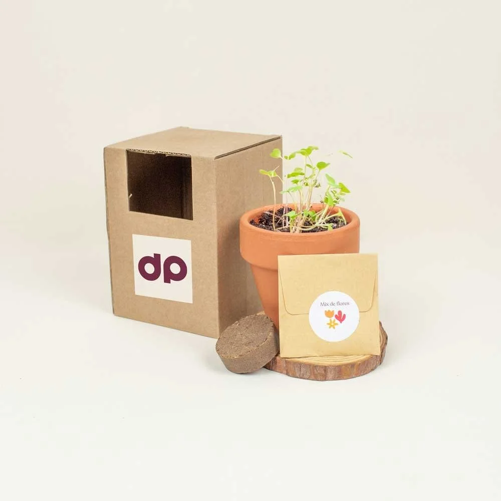 Kit plantable de barro Kit plantable de barro