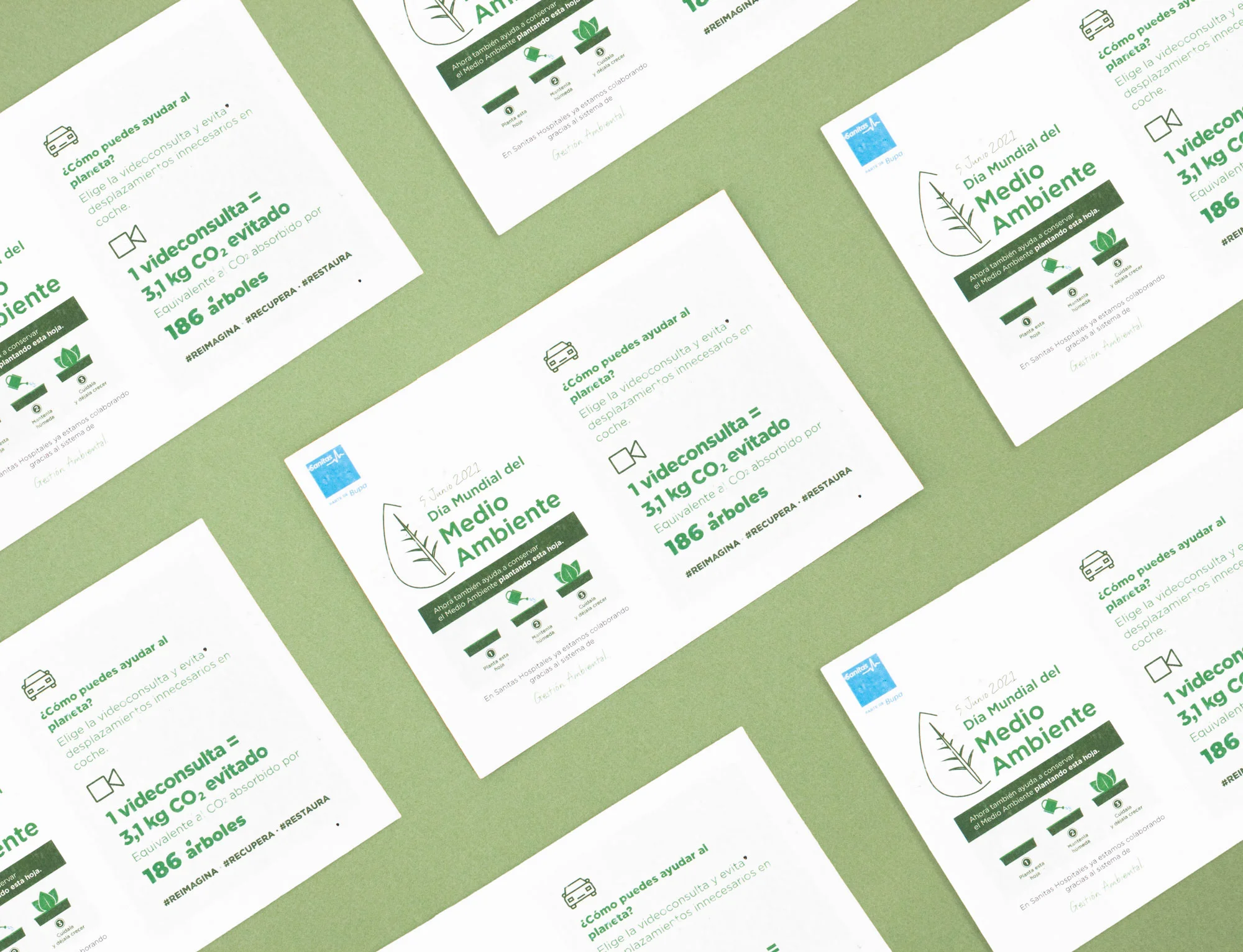 lápiz plantable SMARTBOX