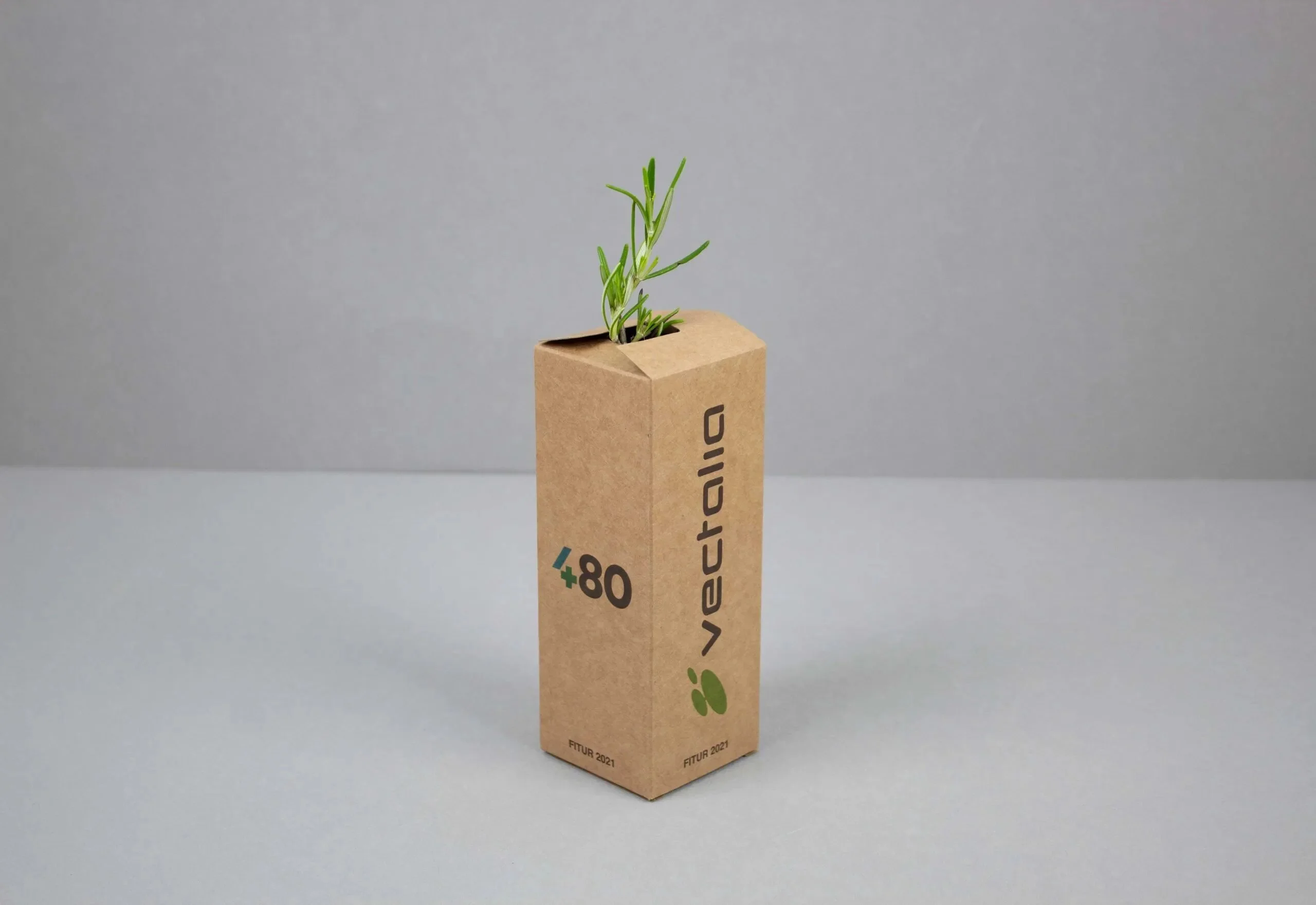 Arbolitos-vectalia_4-scaled Arbolitos-vectalia