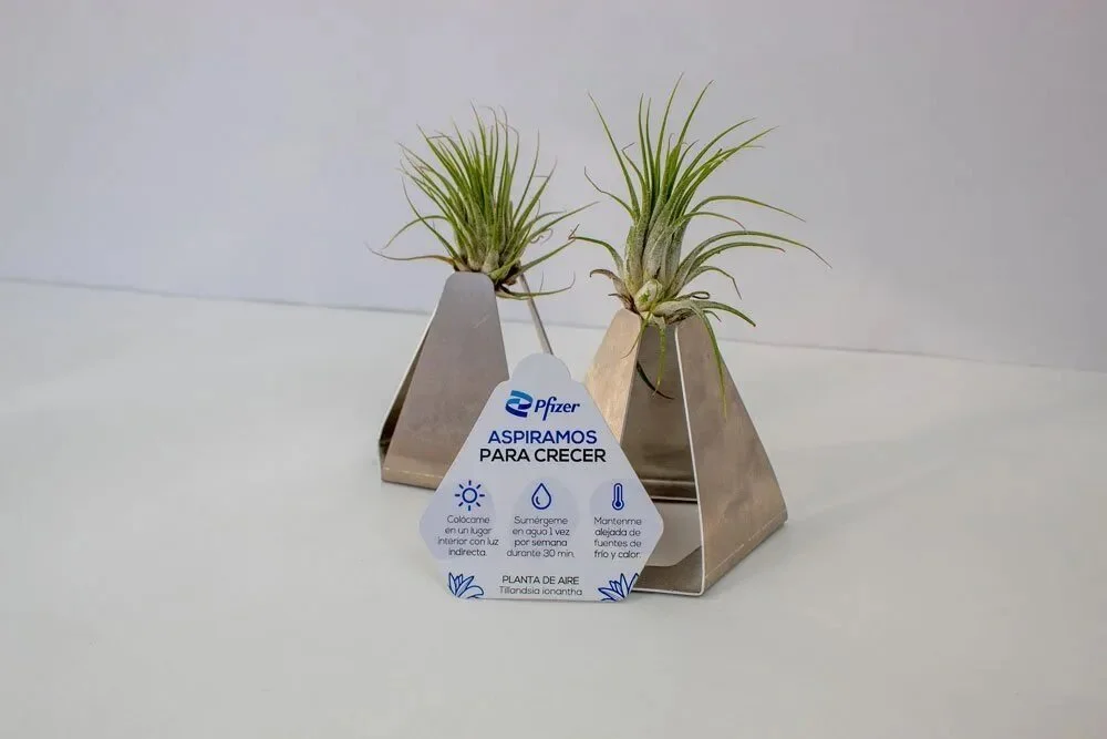 Tarjeta de visita plantable L'Occitane Francia