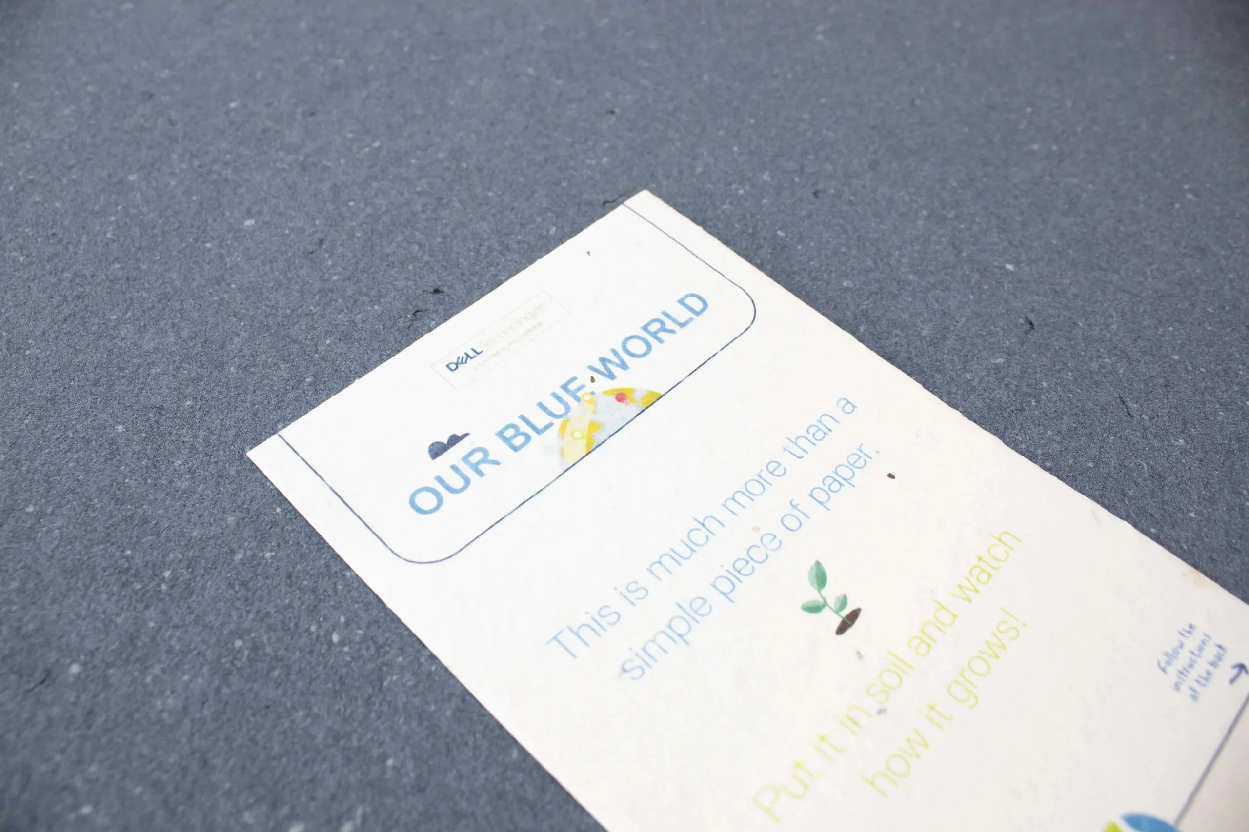 Dell tarjeta reciclada y plantable