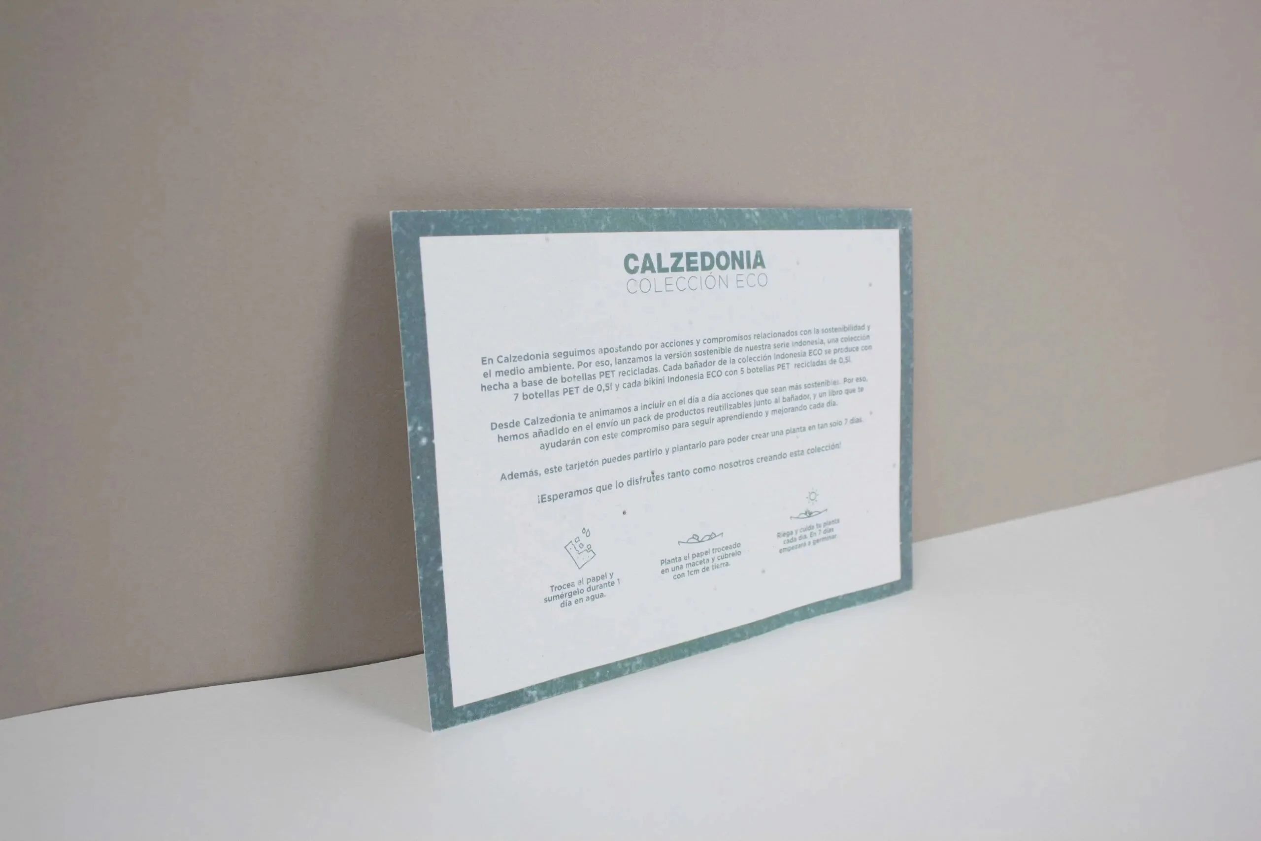 Tarjeton-plantable-Calzedonia