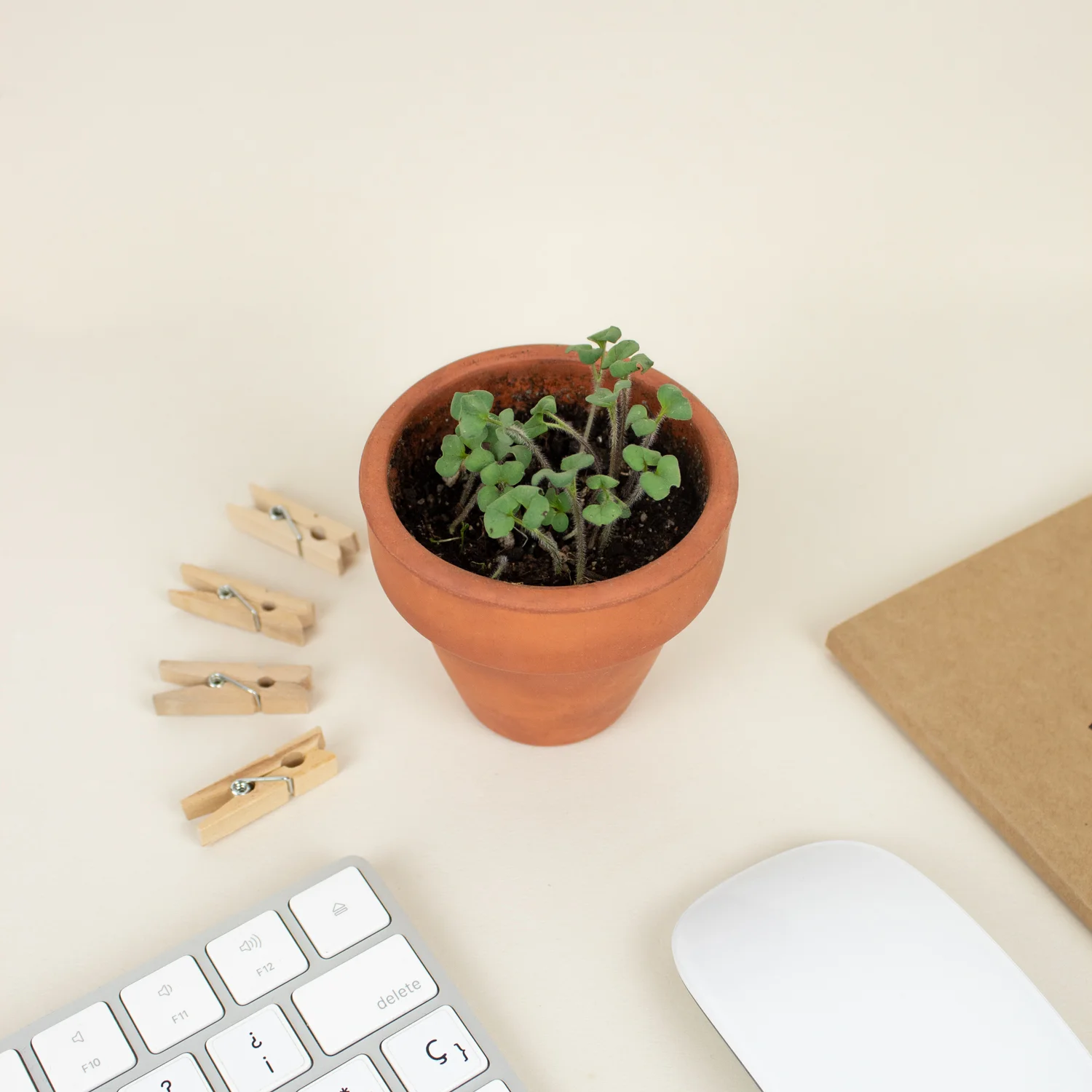 pack basic 4 Welcome Pack BASIC