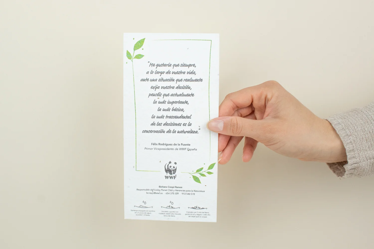 Regalo semillas Terra Mitica