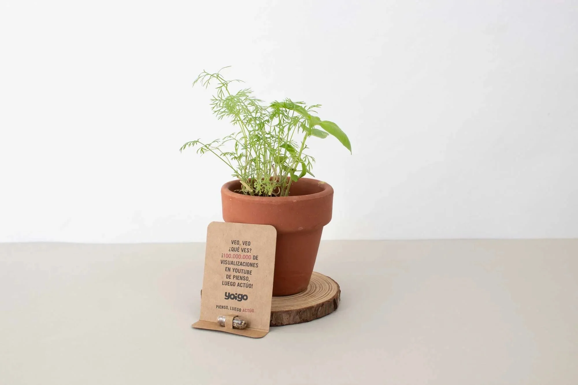 Earth Pill regalo de empresa sostenible