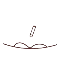 instrucciones icono boligrafo con semillas