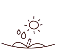 instrucciones icono boligrafo con semillas