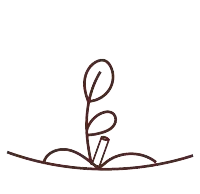 plantar lapiz con semillas 1