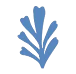 reglar semillas ajedrea