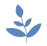 lapiz semillas albahaca