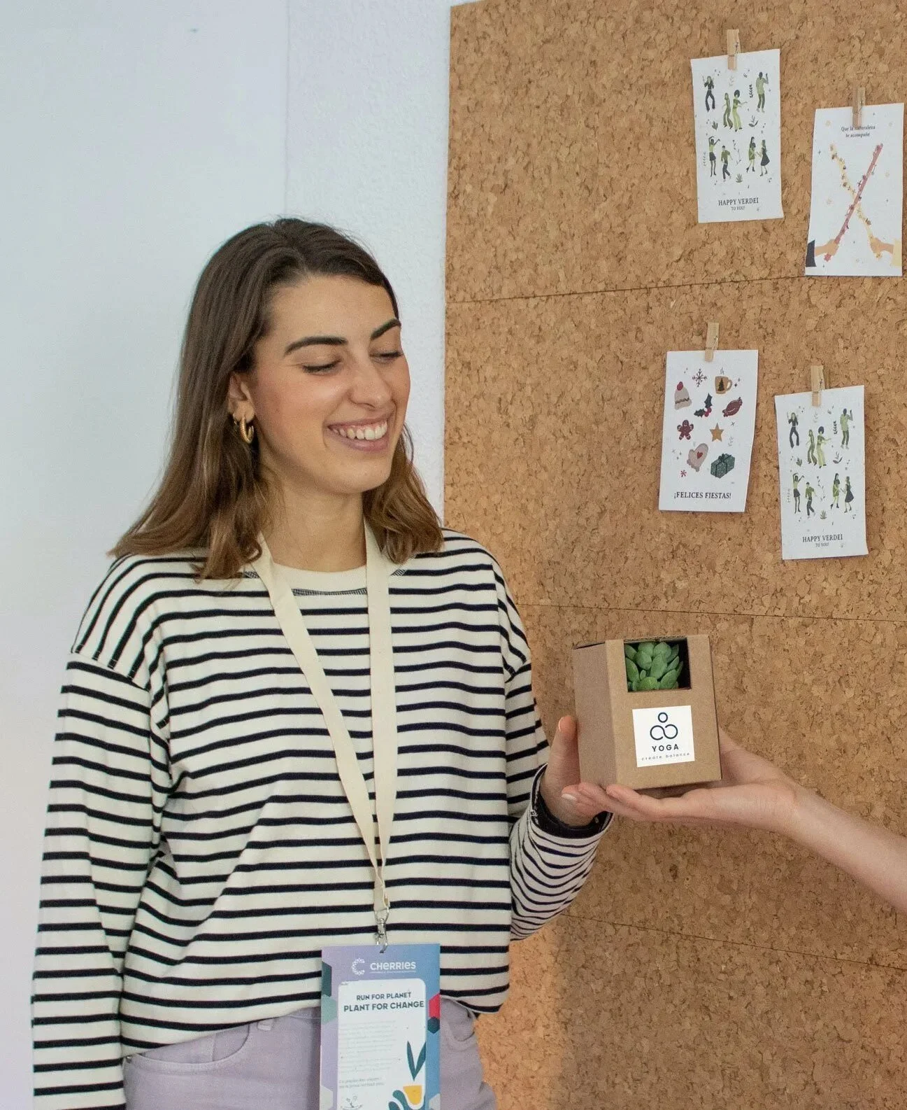 suculentas para regalar