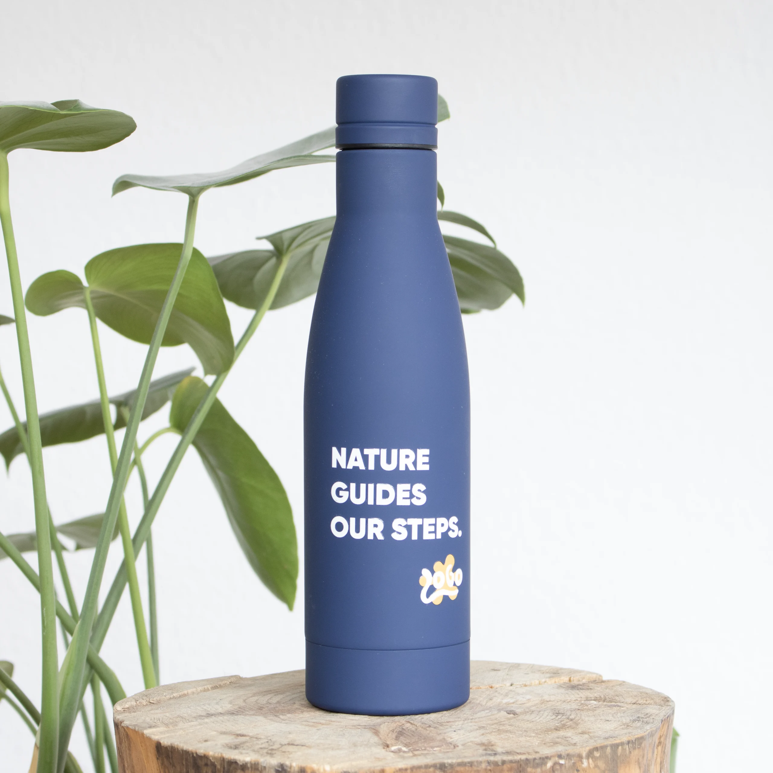 Botella azul de acero inoxidable personalizada con logo blanco junto a una planta