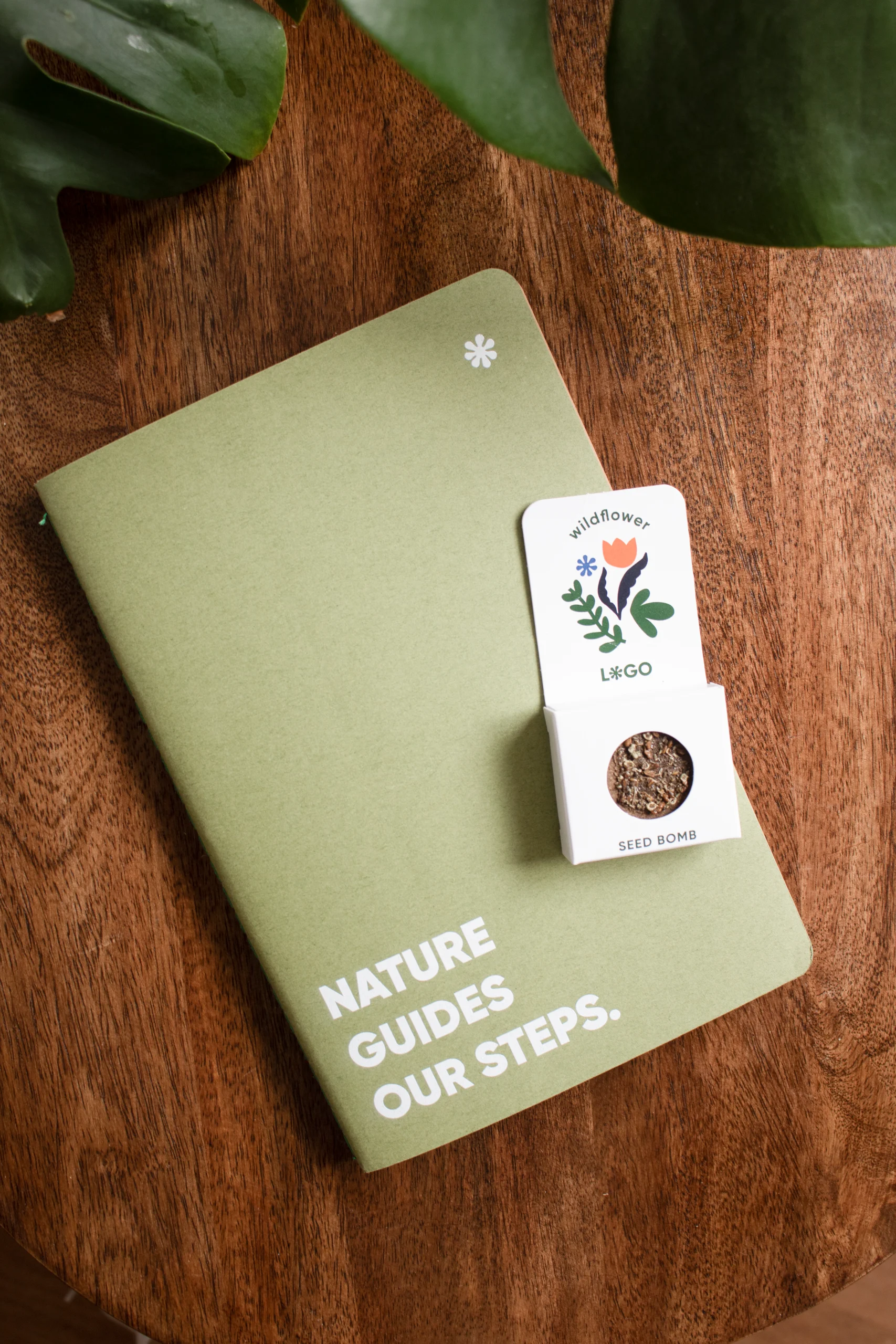 Mesa madera con cuaderno verde reciclado, planta y bomba de semillas