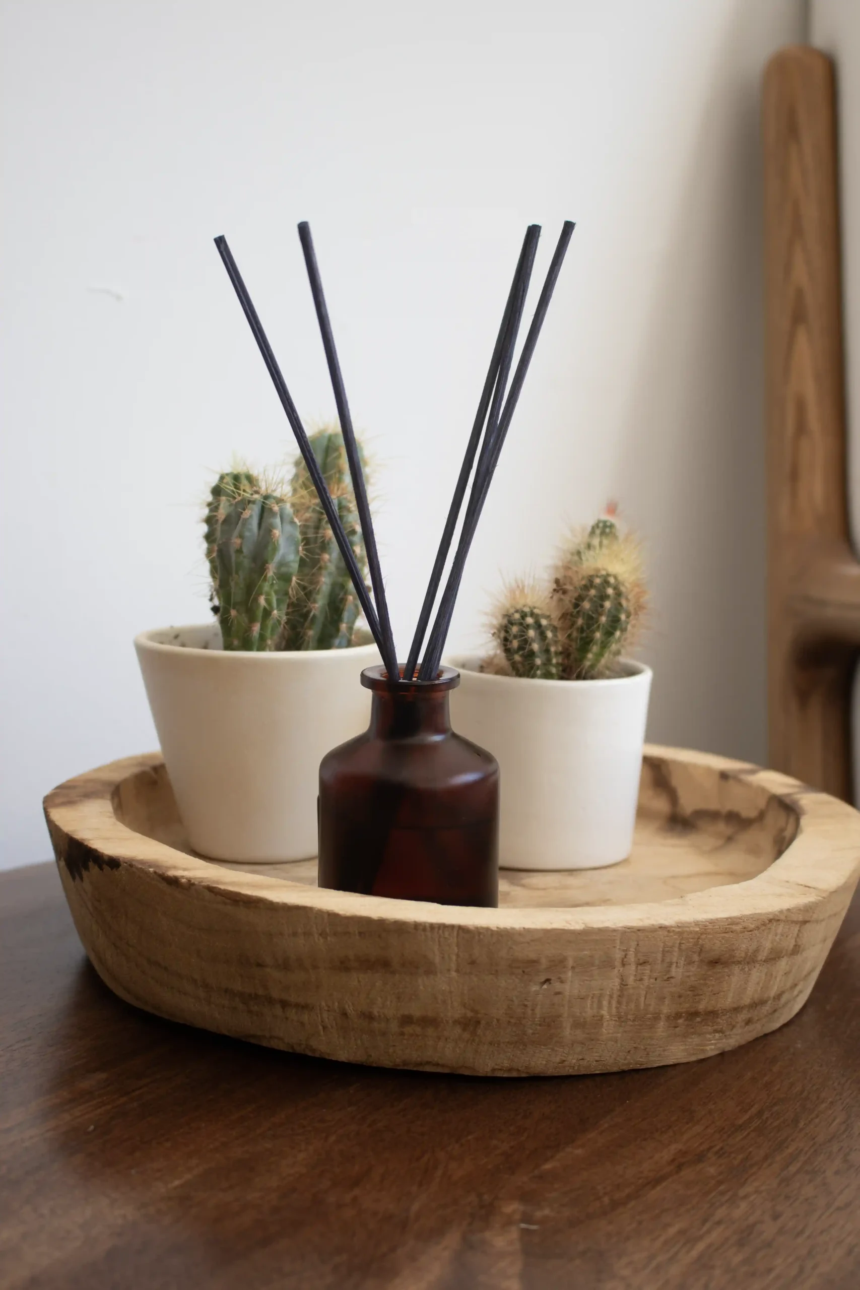Ambientador mikado personalizado de vidrio marrón con cactus