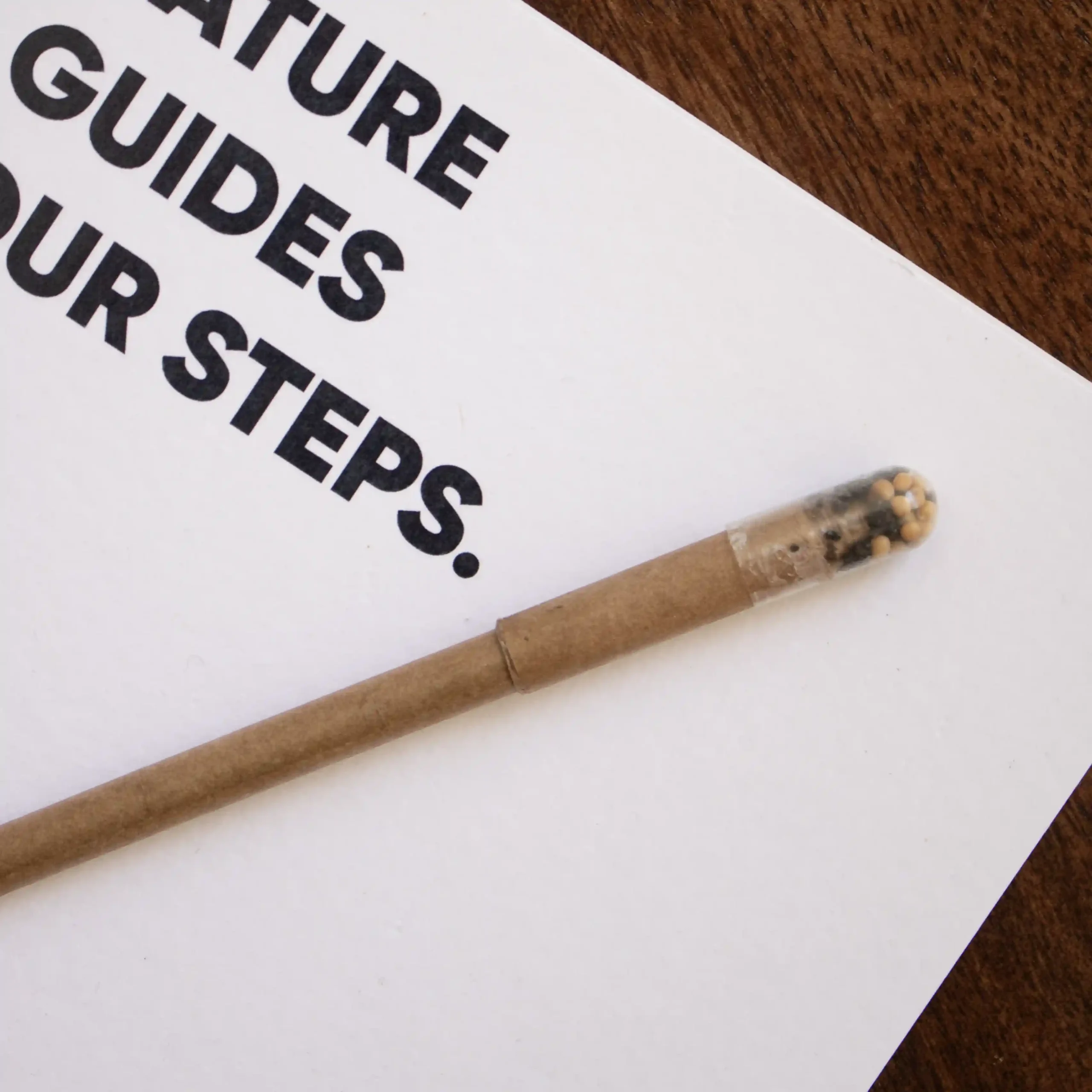 Cuaderno blanco con texto azul y bolígrafo marrón plantable con tapón de semillas