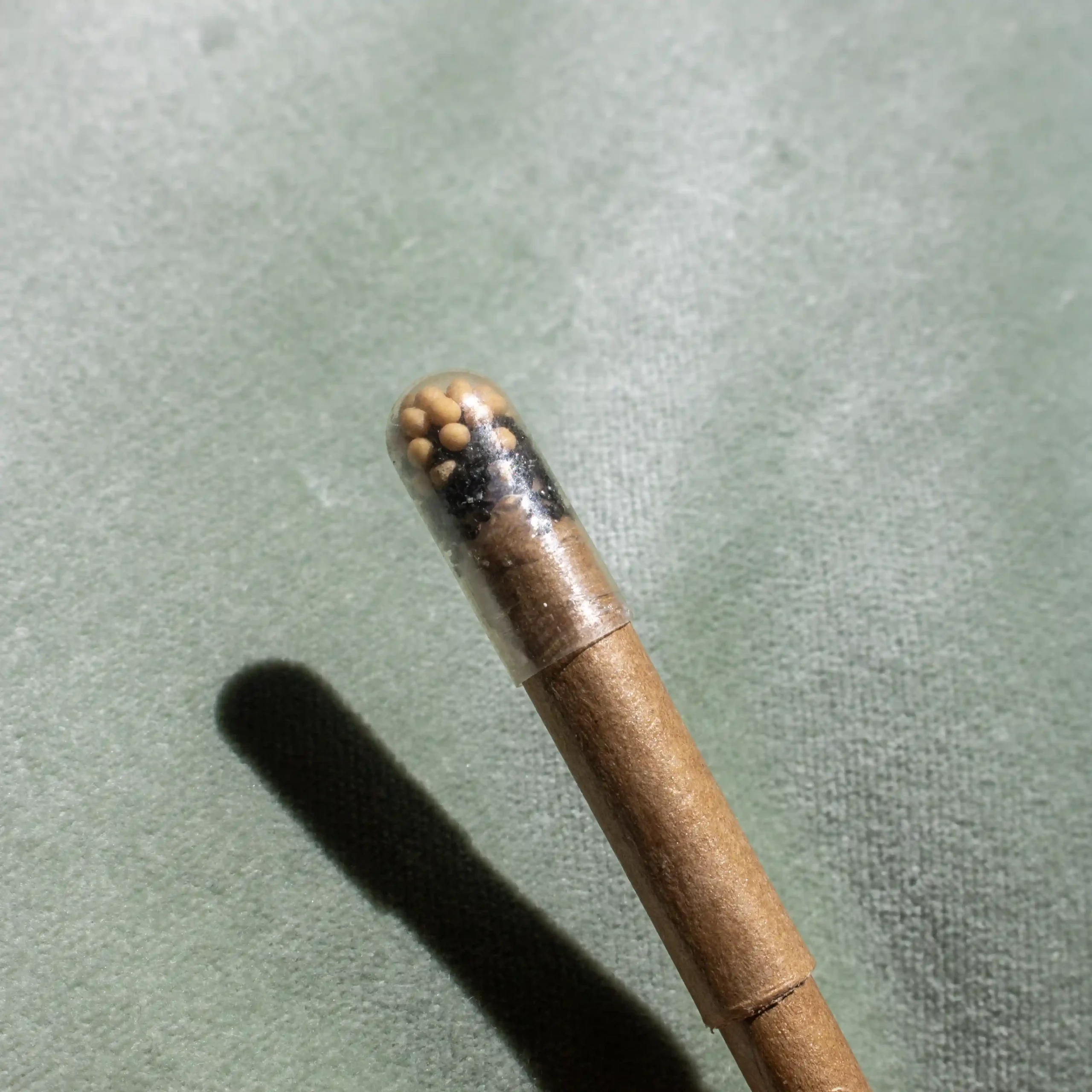 Cápsula de semillas en el tapón de un bolígrafo marrón plantable