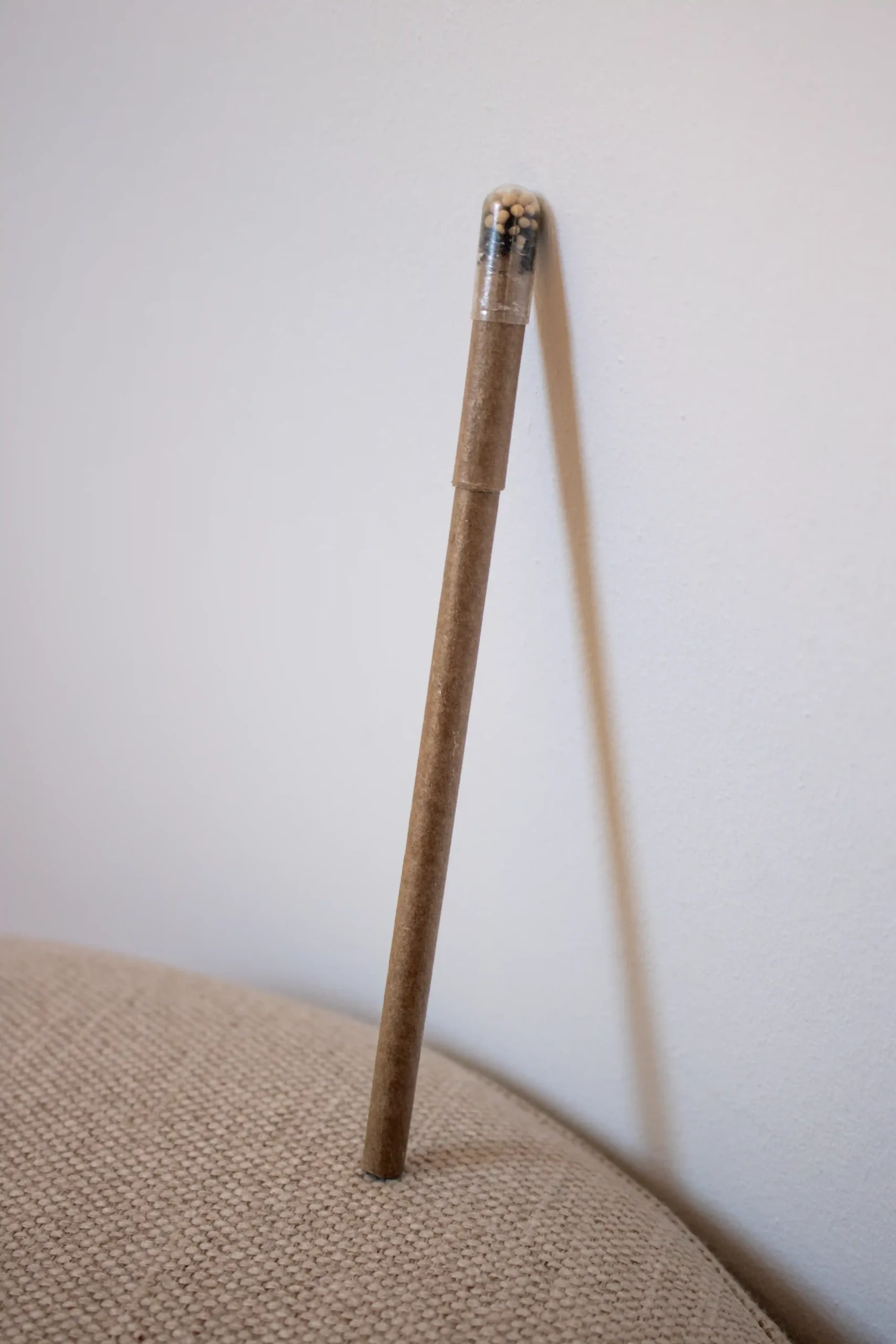 Bolígrafo marrón plantable apoyado en una pared