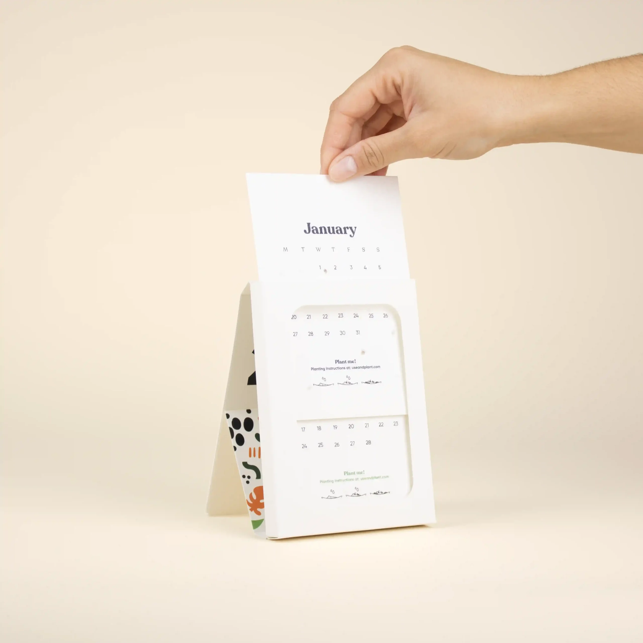 Mano sacando una hoja de un calendario de semillas en estuche blanco personalizado
