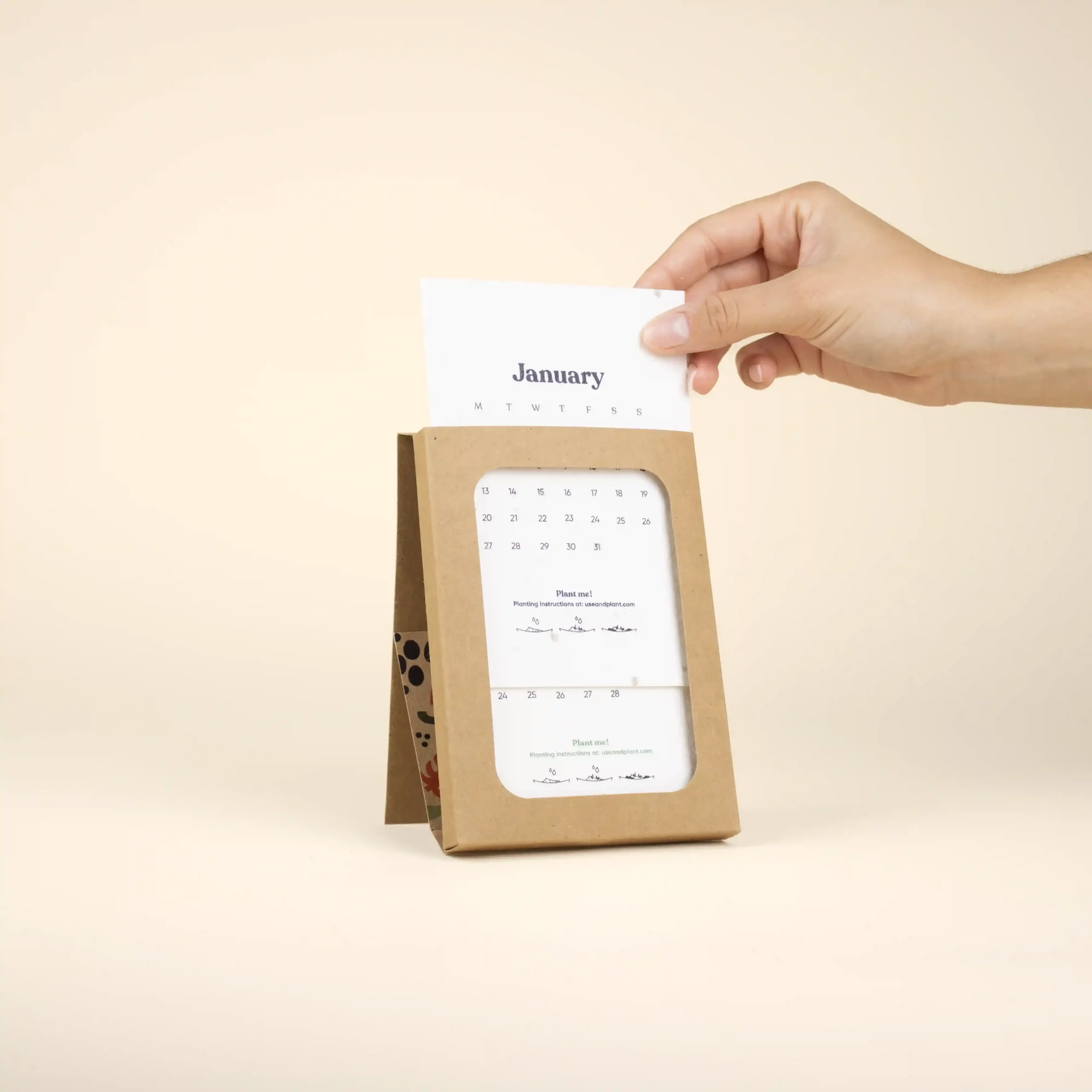 Mano sacando una hoja de un calendario de semillas en estuche kraft personalizado
