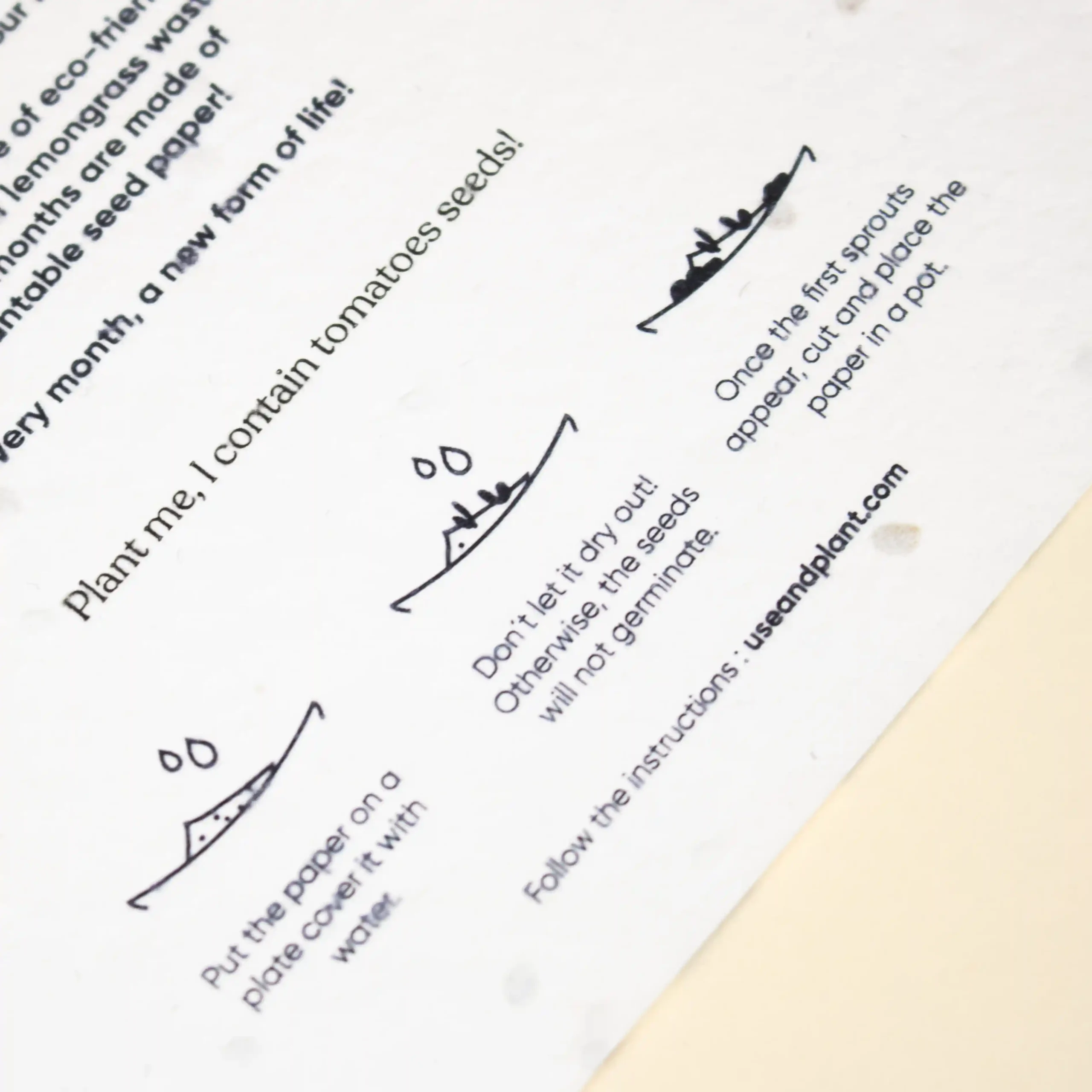 Calendario plantable de mesa TRIGA Detalle Papel Instrucciones de plantado de un calendario plantable de mesa