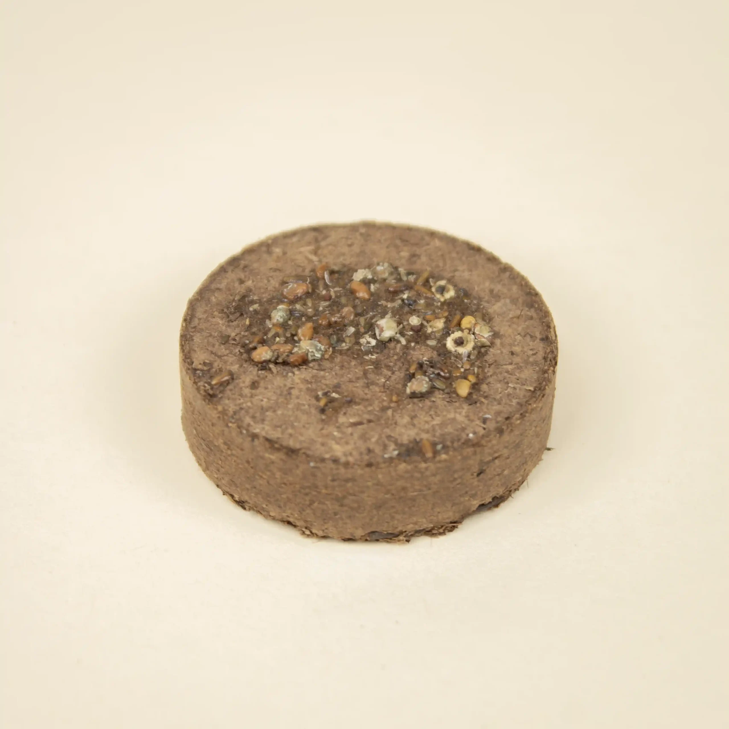 Pastilla de tierra con semillas para germinar