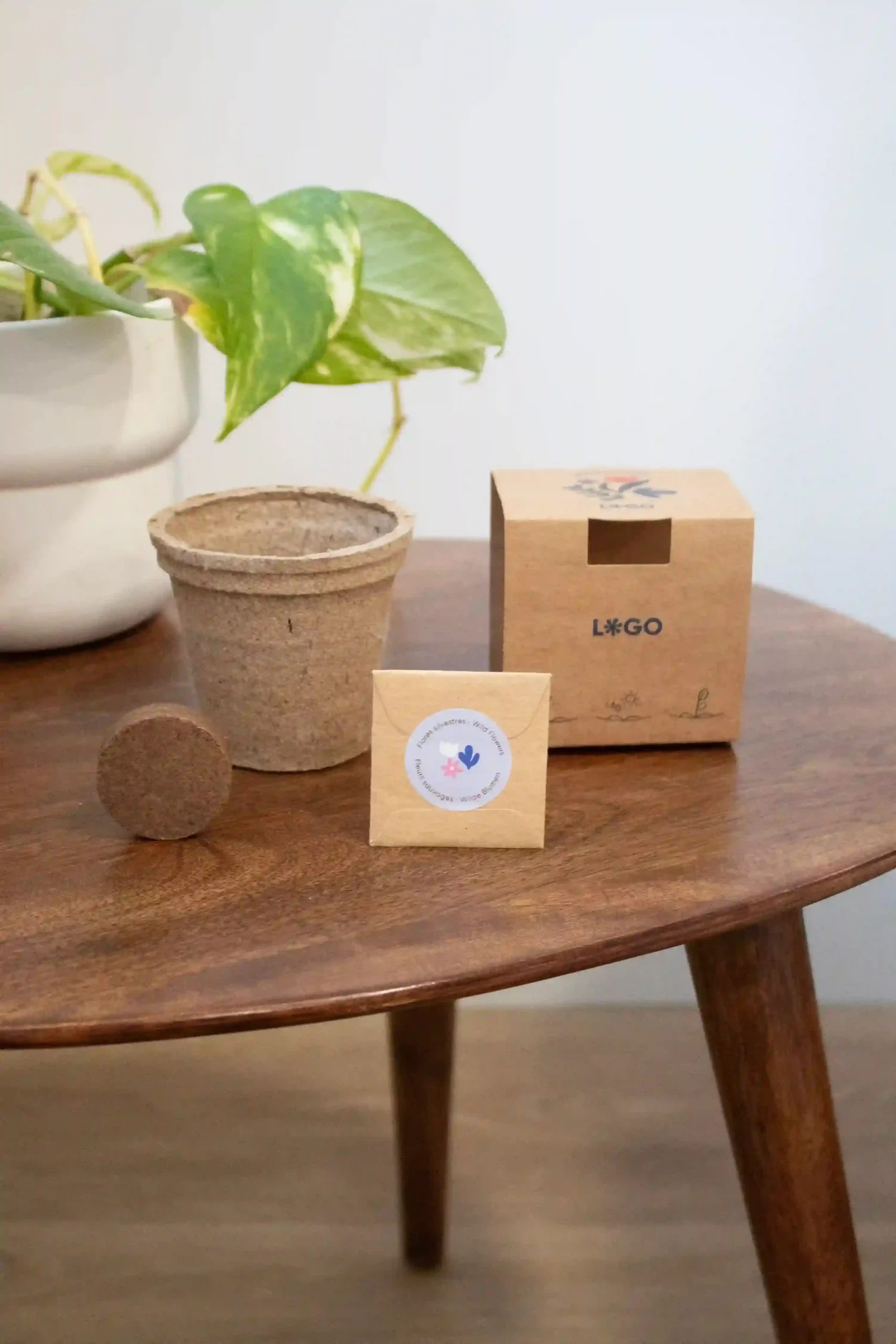 Kit plantable de fibra de coco con un sobre de semillas, una pastilla de tierra y un packaging en cartón kraft personalizado sobre una mesa de madera
