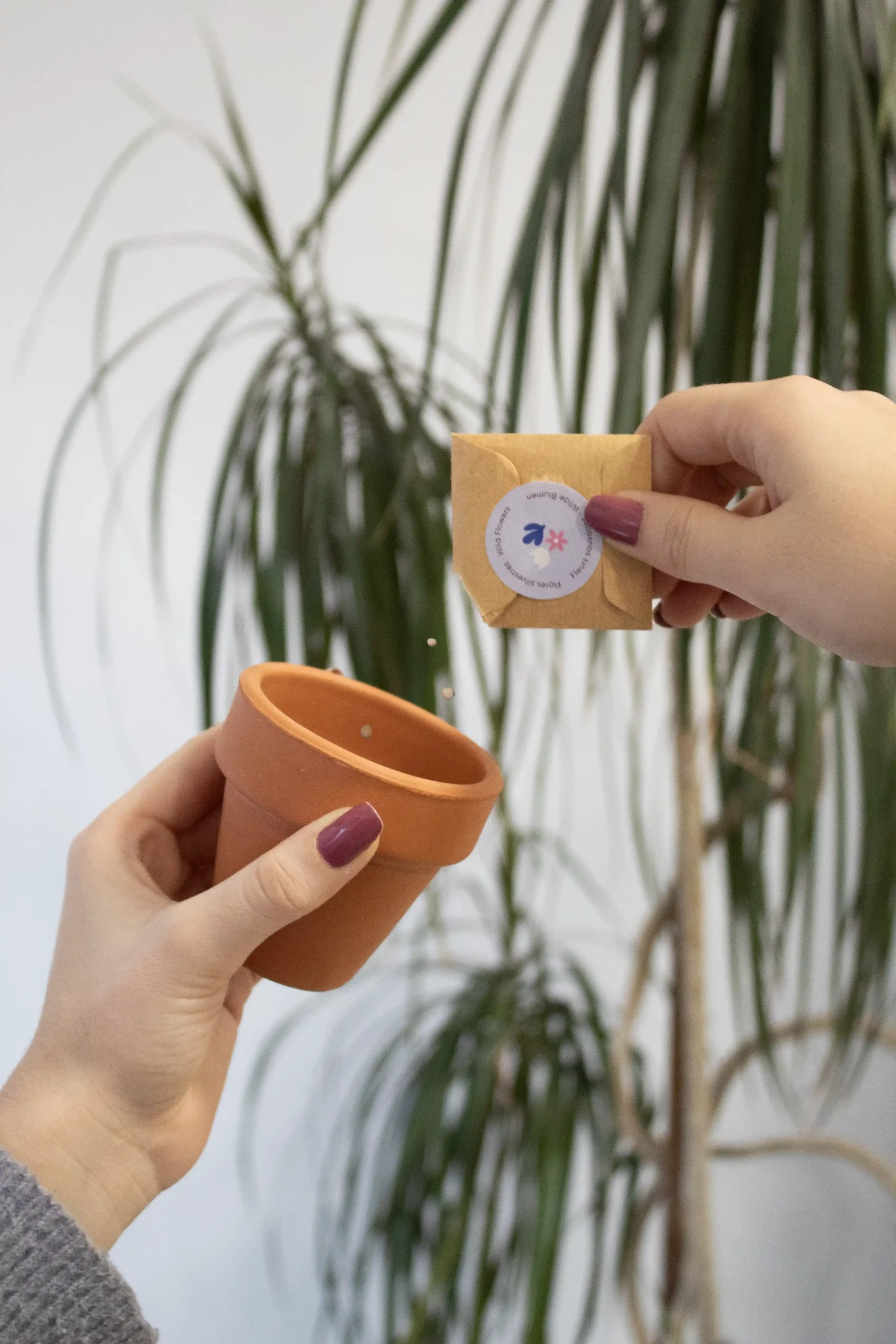 Manos sosteniendo un kit plantable de barro y un sobre con semillas