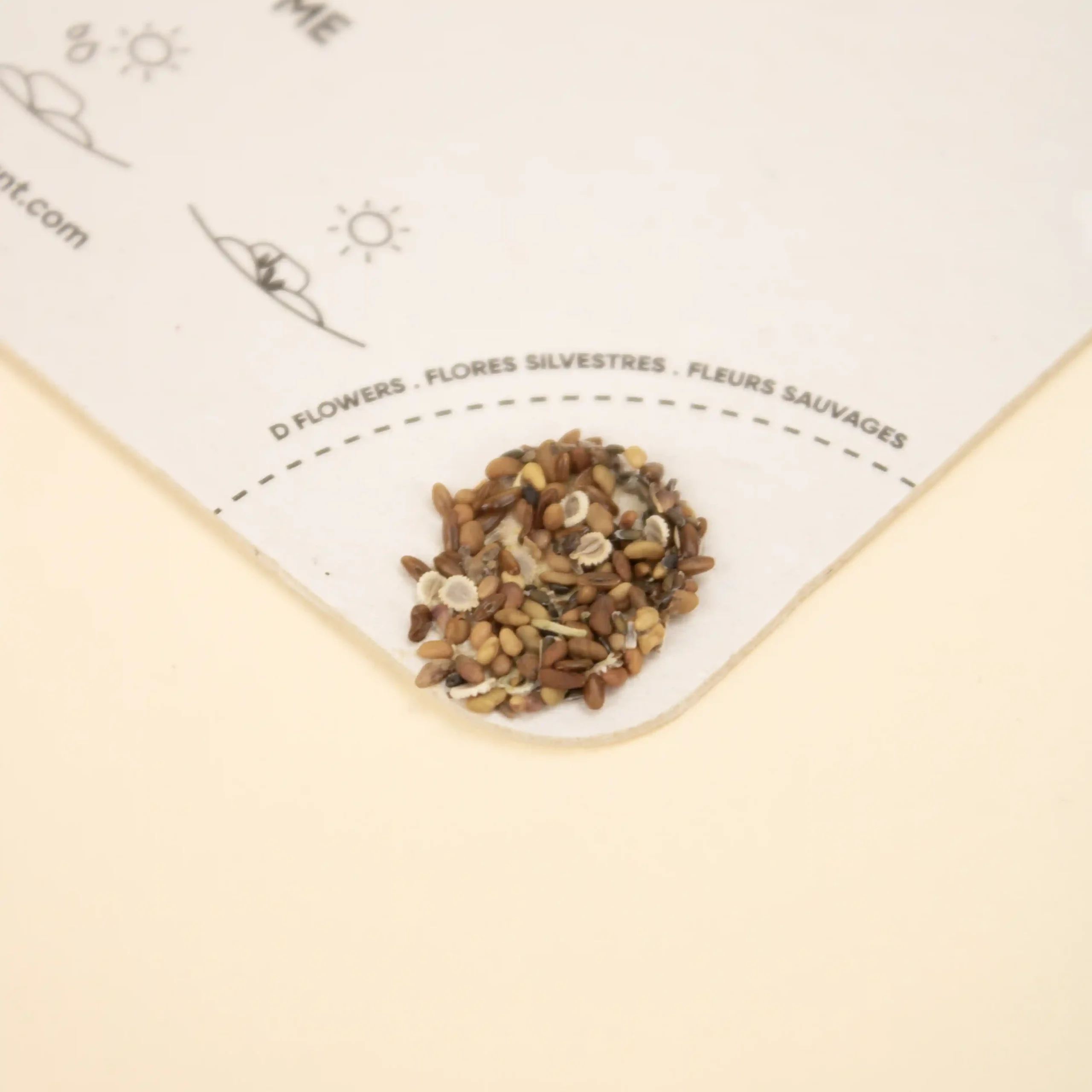 Posavasos de cartón personalizado con semillas pegadas en una esquina